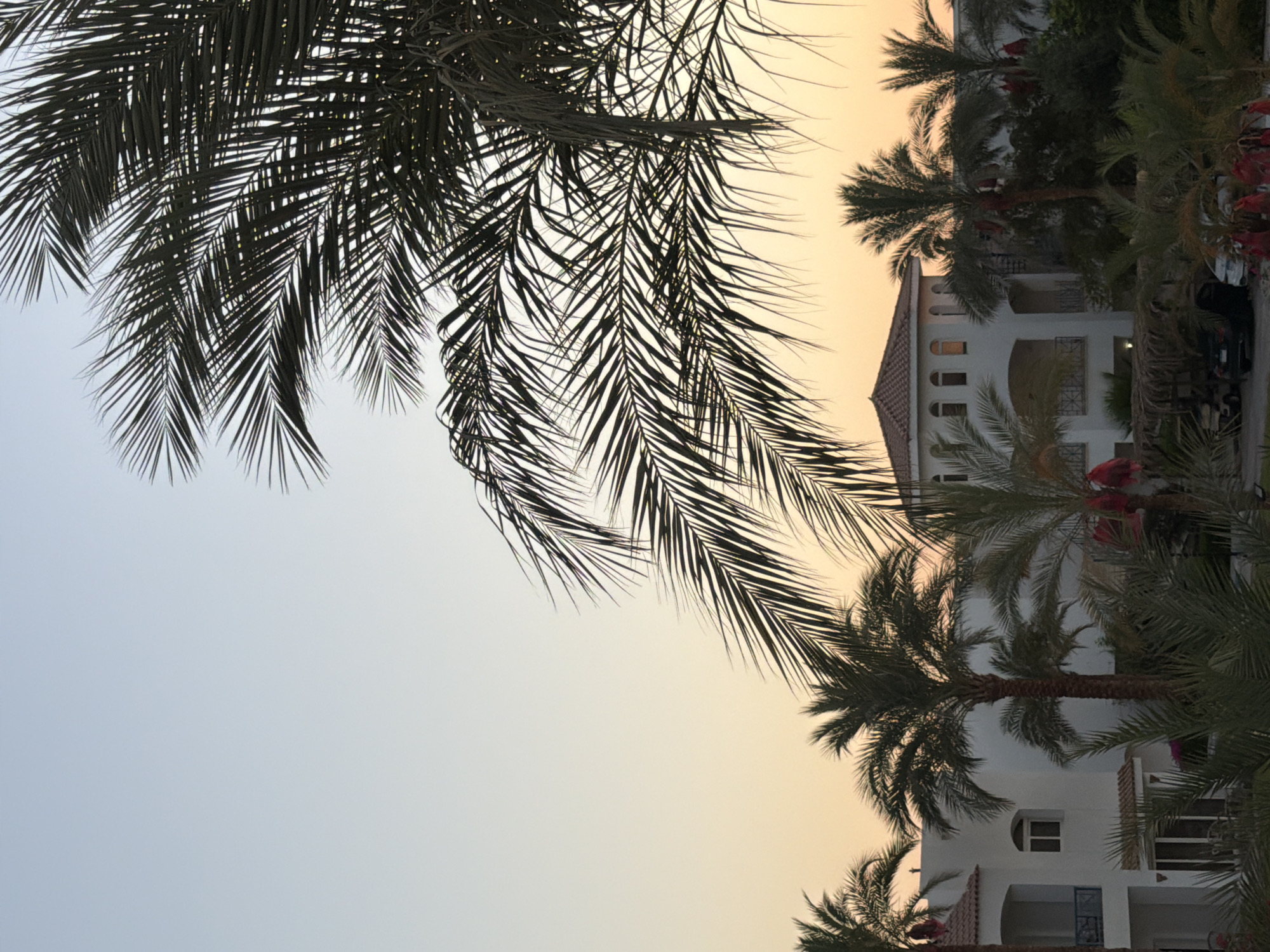 Sunset at a Sharm El Sheikh resort, palm trees and pool views