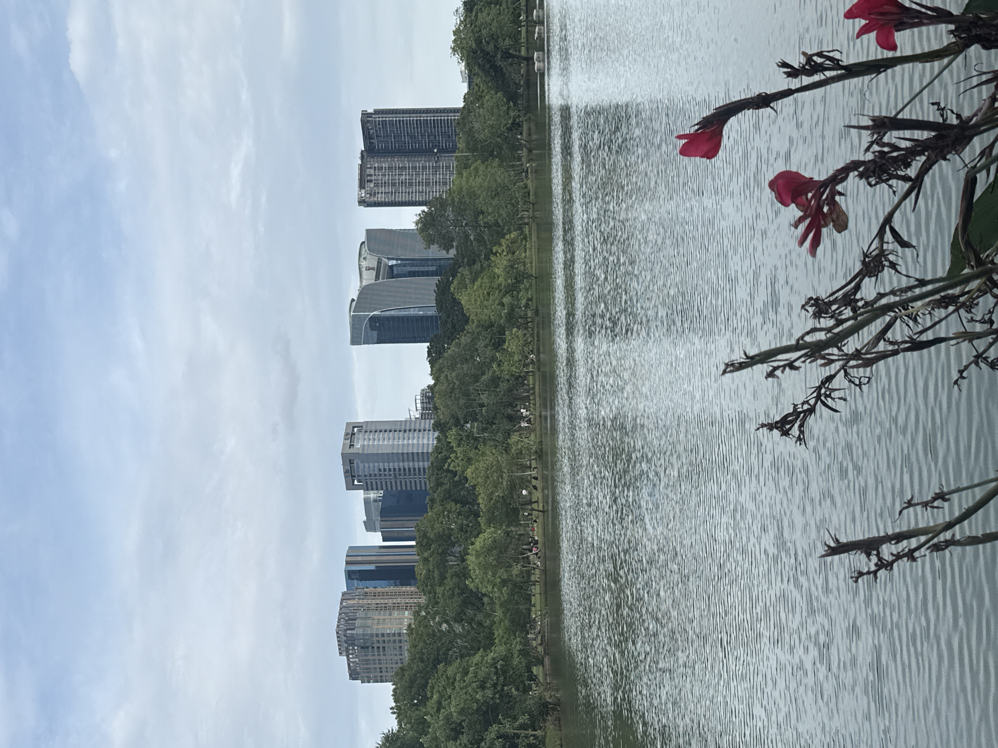 Wildlife and quiet moments at Lumpini Park on a grey morning