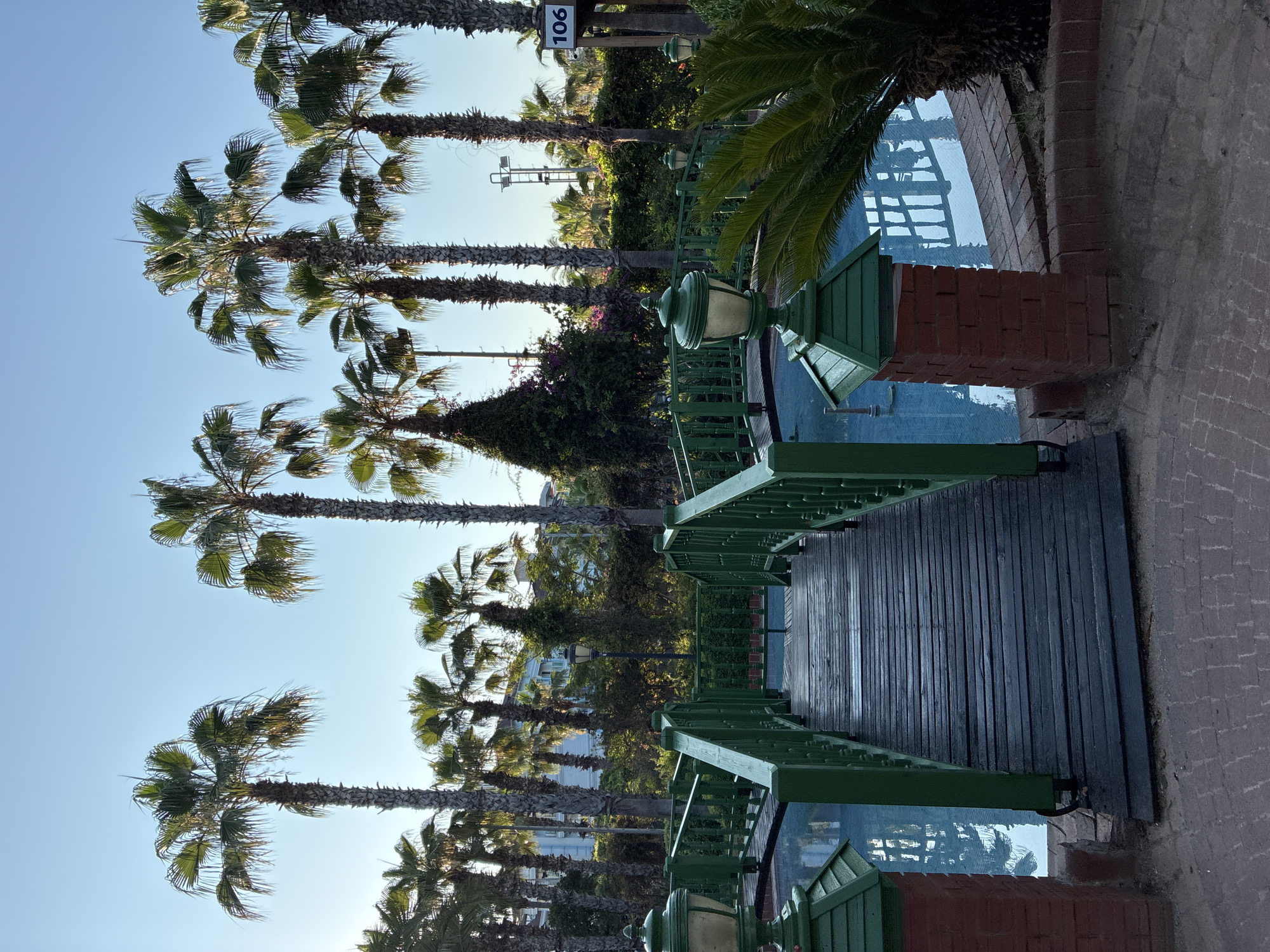 Morning walk through a palm-lined garden park in Alanya