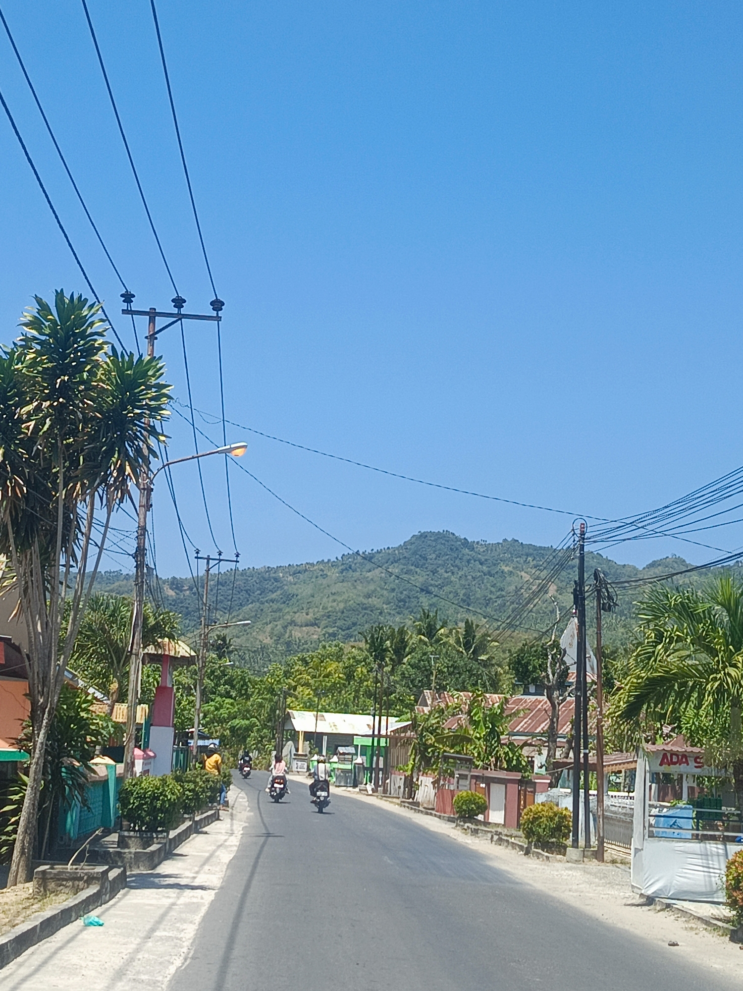 Ilotidea, Indonesia