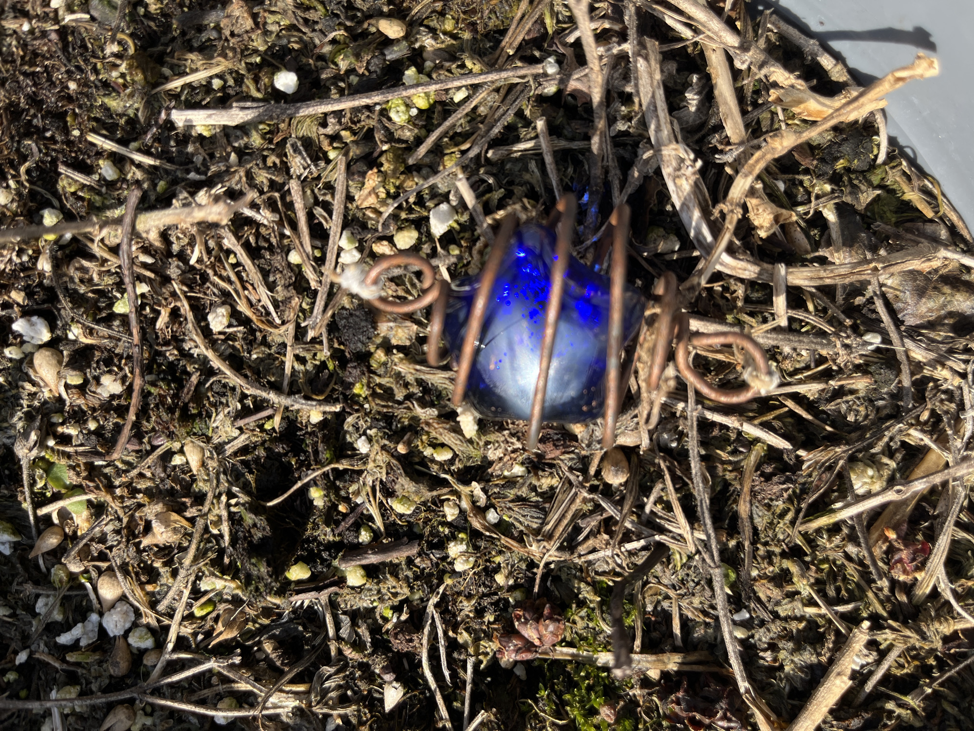 Blue glass object in copper wire found on plant debris