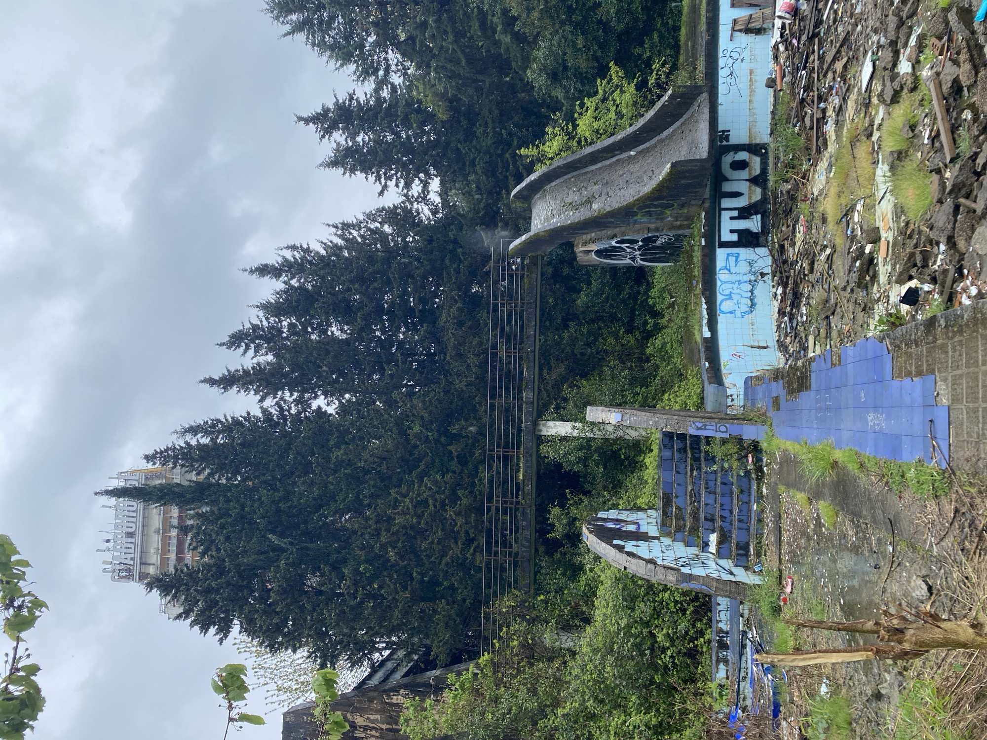 Witness documents decaying Sochi Olympic facilities overgrown with vegetation