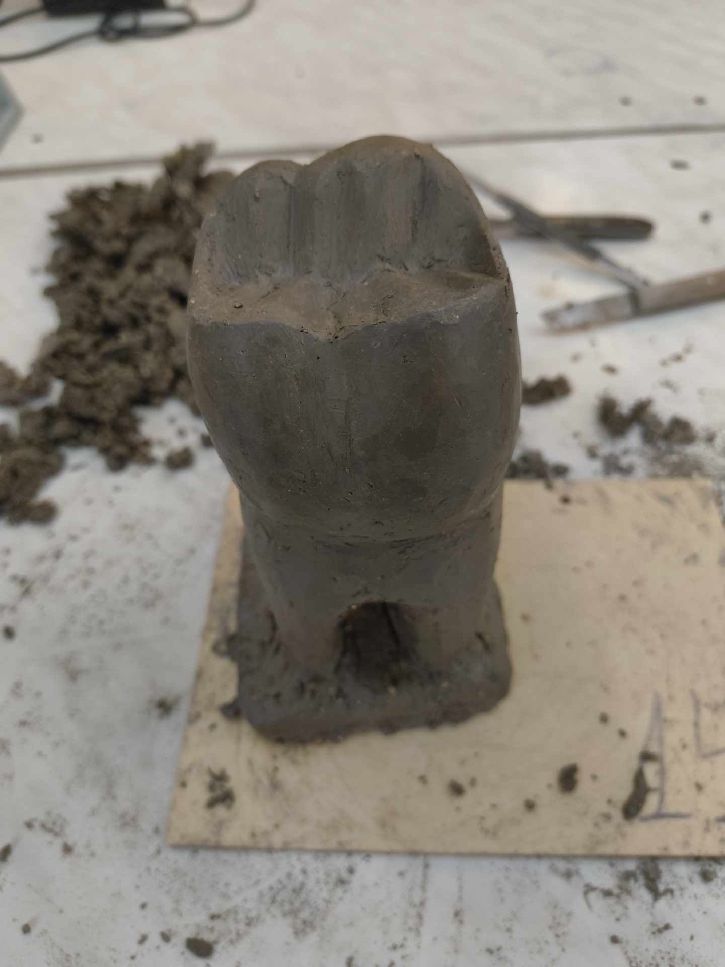 Sofia witnesses capture dental artwork and restaurant celebrations