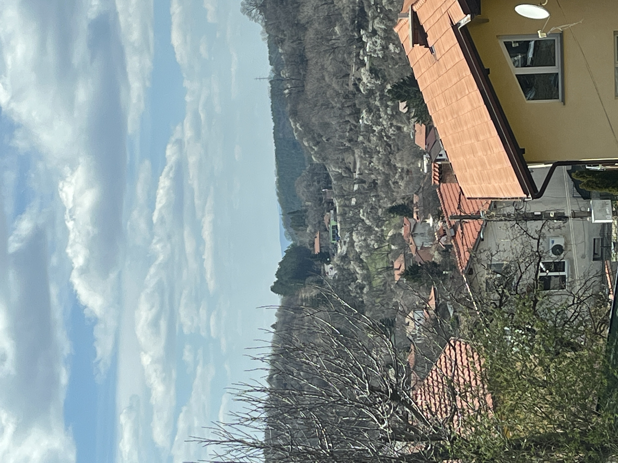 Spring morning scenes captured in Vladaya, Bulgaria residential area
