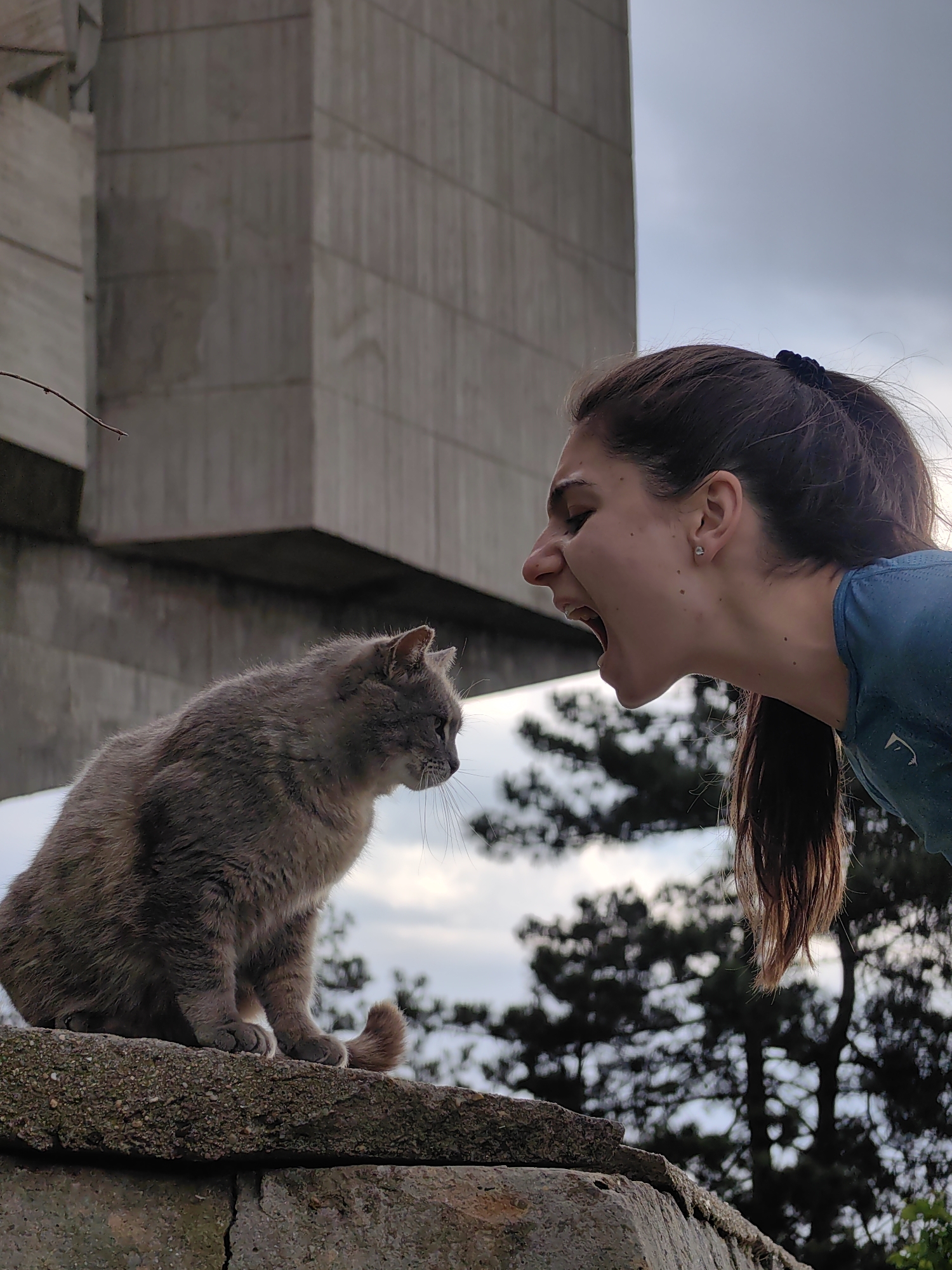 Woman yells at gray cat on concrete wall in Varna