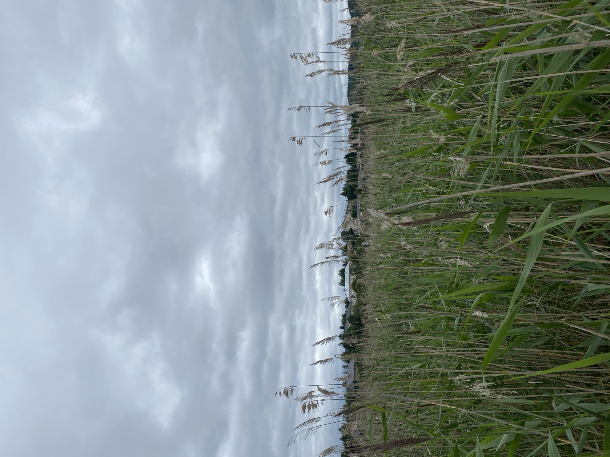 Lakhdenkiulya, Russia