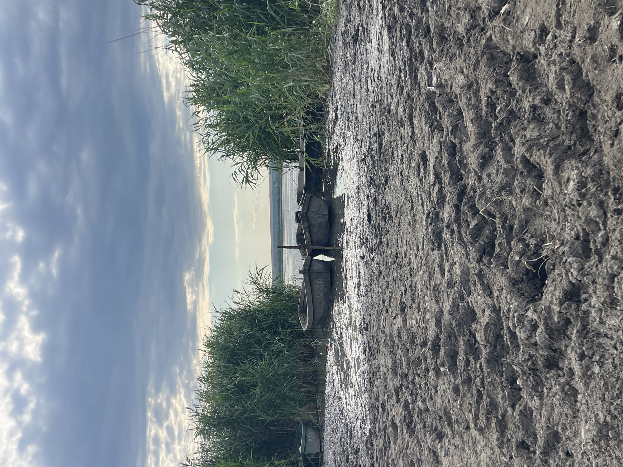 Weathered boats rest on a reedy riverbank in rural Moldova