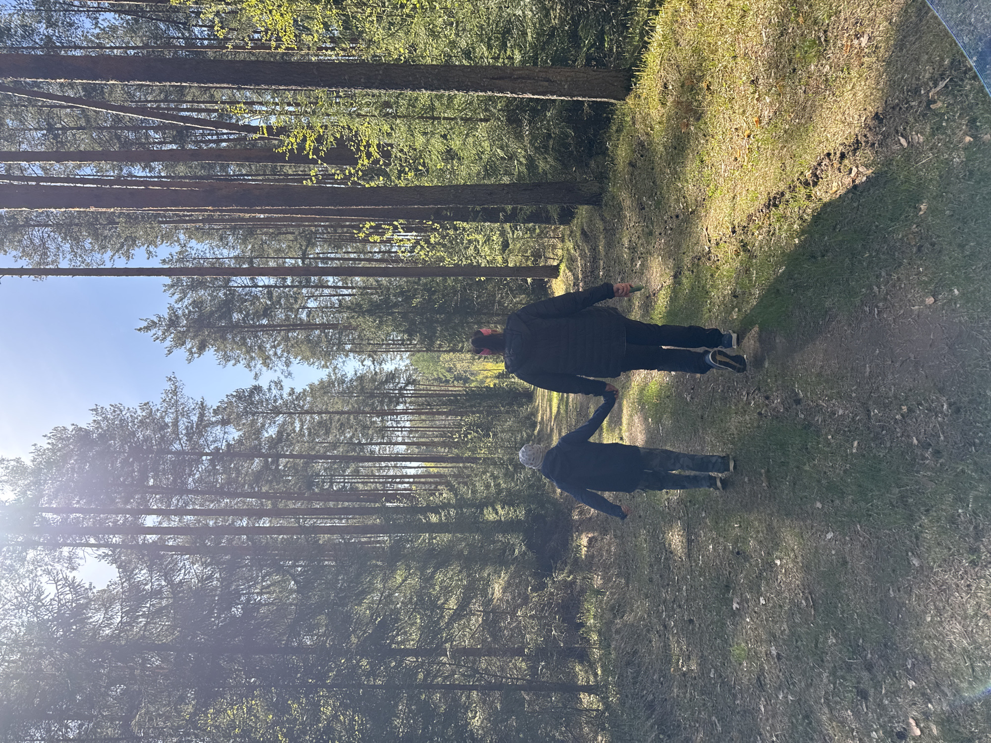 Family group walks forest paths in Chaikovsky, Russia