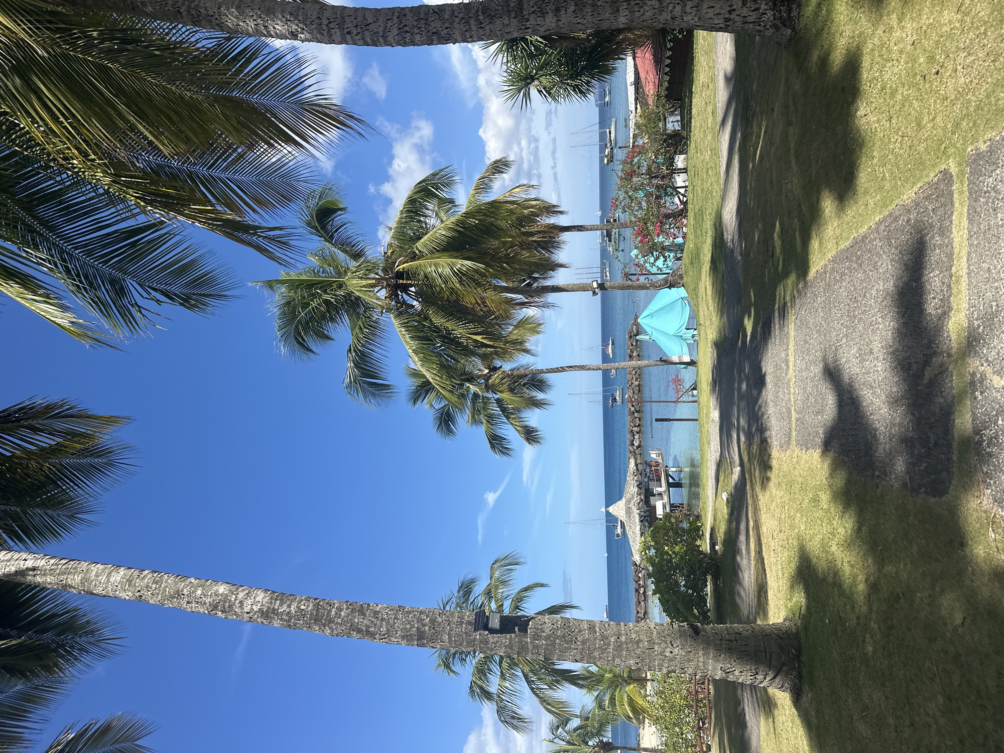 Tropical scenes captured in Les Trois-Îlets resort area