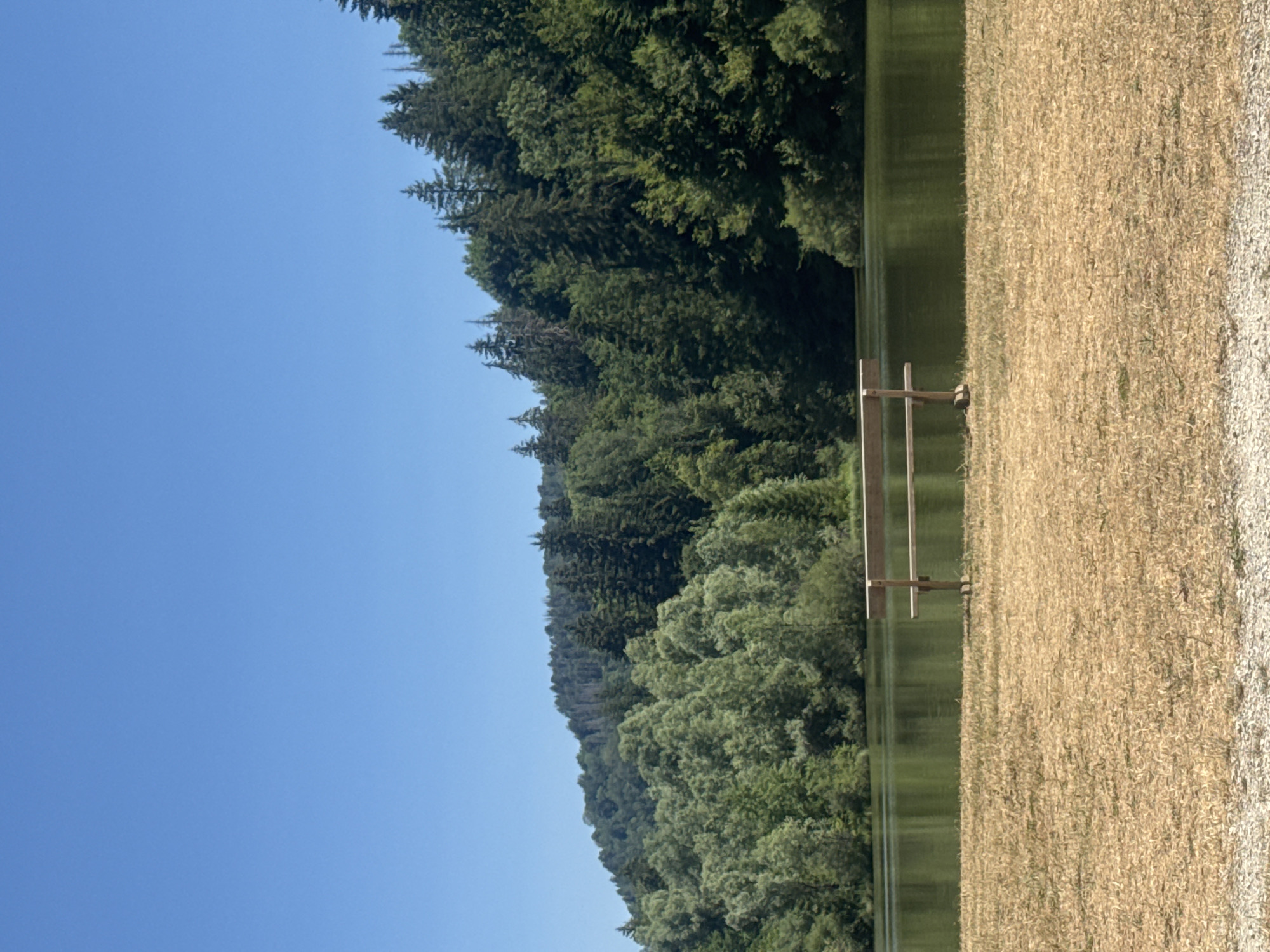 Lazy summer lakeside afternoon in the French Jura