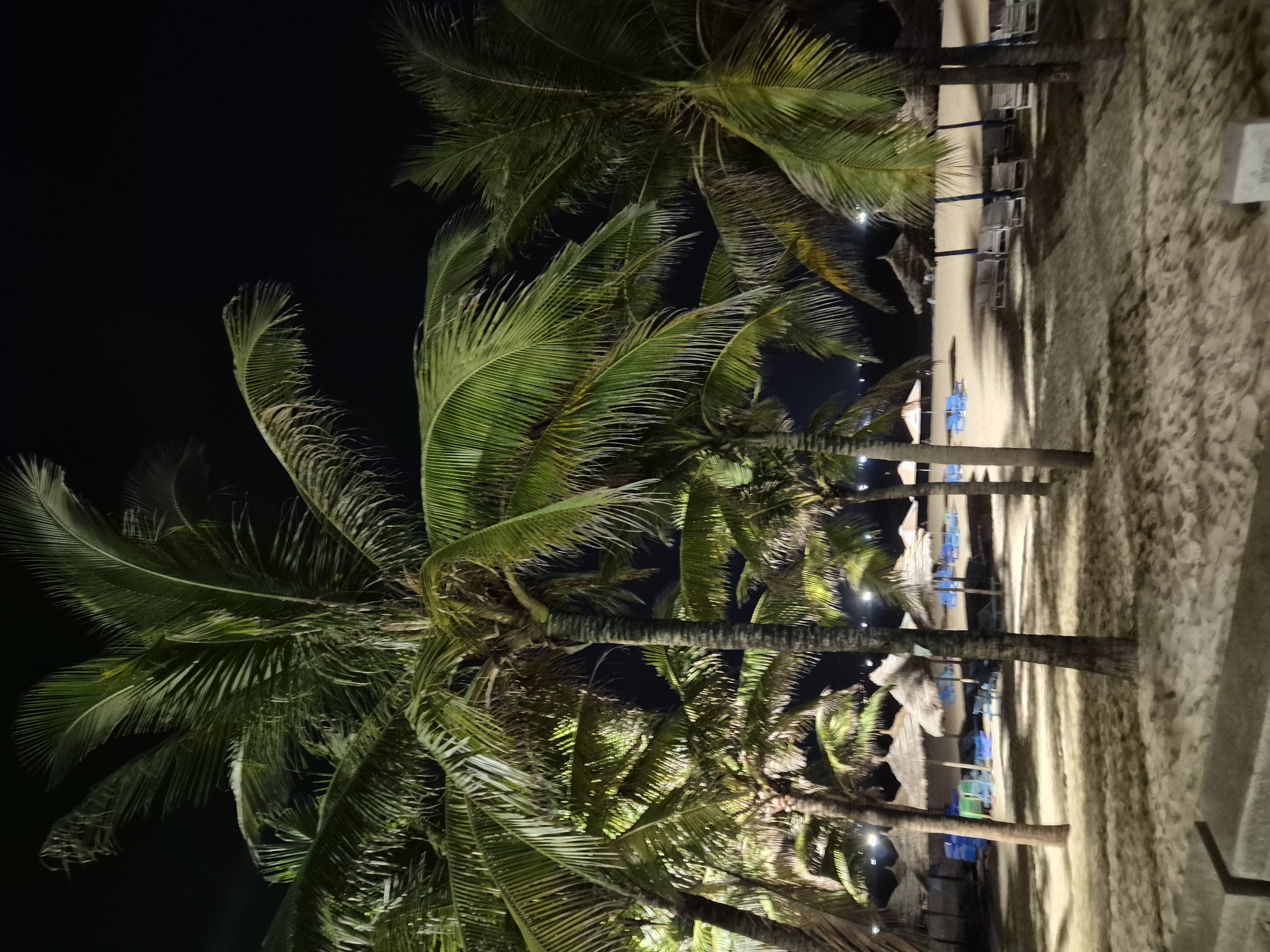 Da Nang beachfront at night, lit palms and glowing hotel