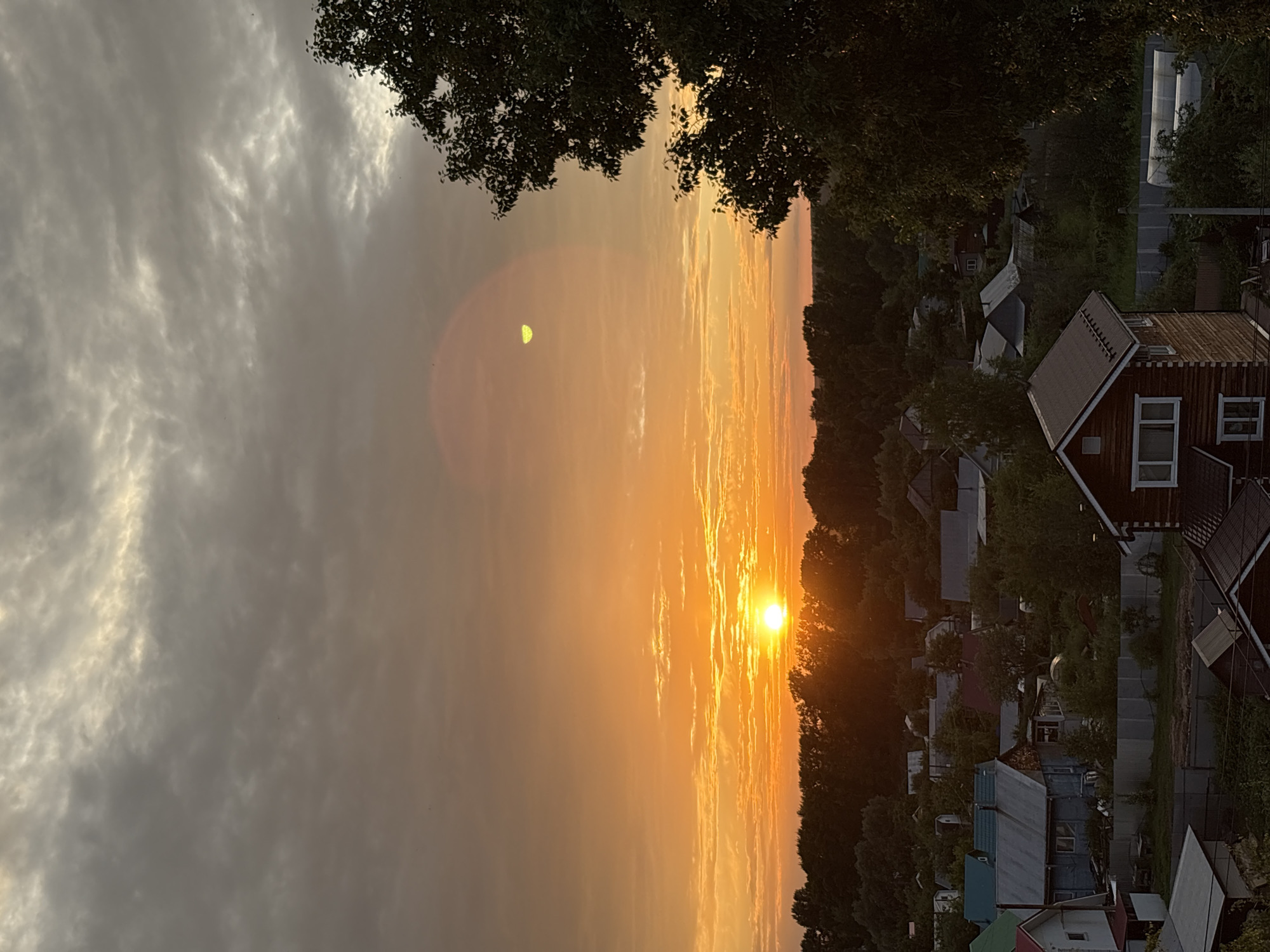 Golden hour in Chaikovsky — sunset views, cats, and street life