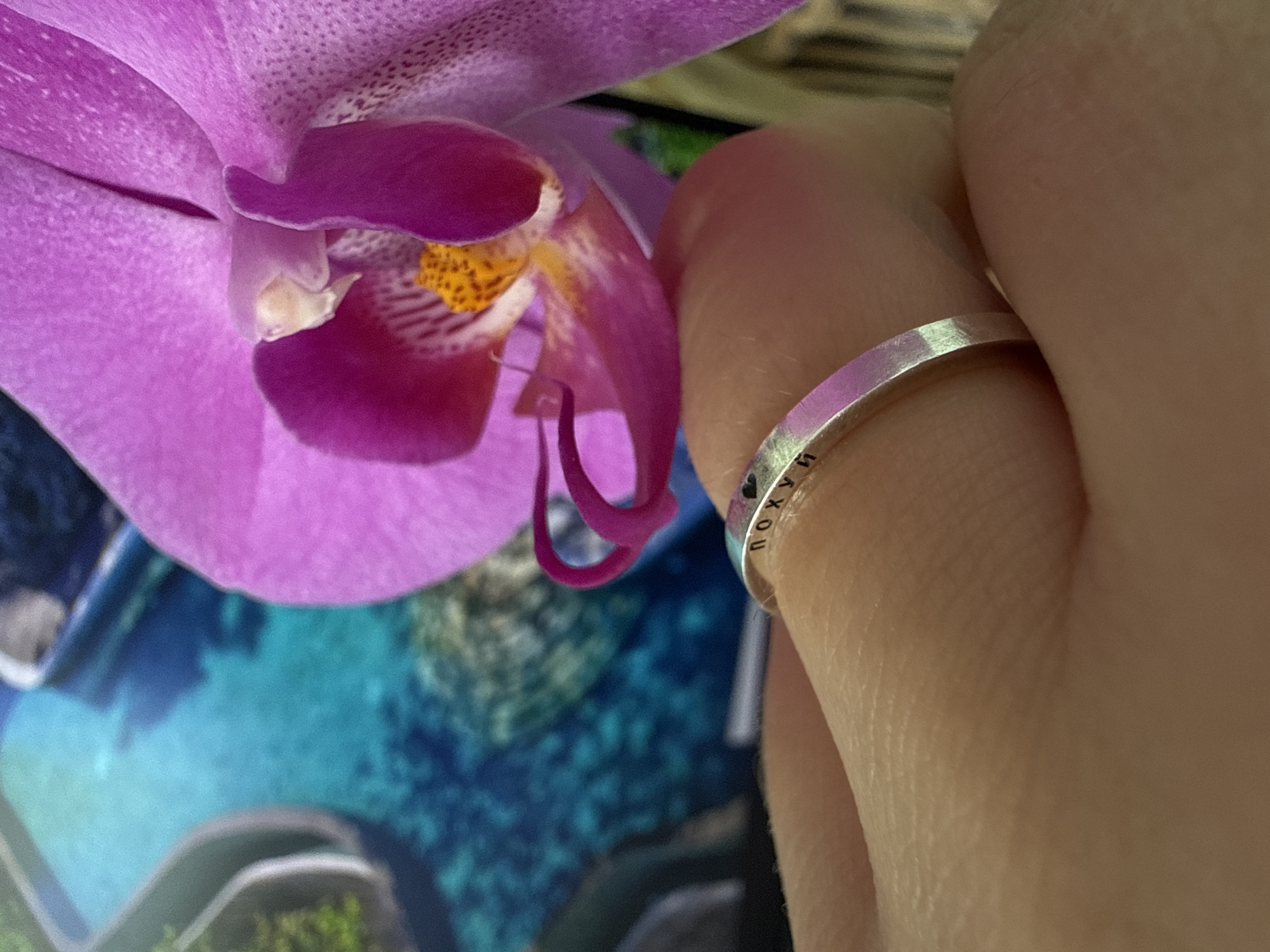 Ring and purple orchid photographed in Chernushka, Russia