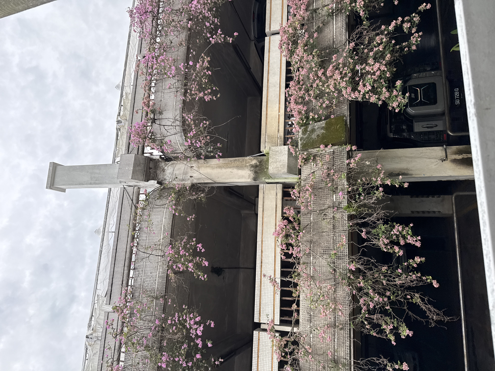 Kuala Lumpur architecture captured: flowering building facade, iconic tower