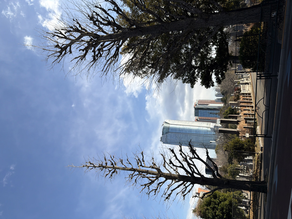 Tokyo shrine area captured amid winter morning urban landscape