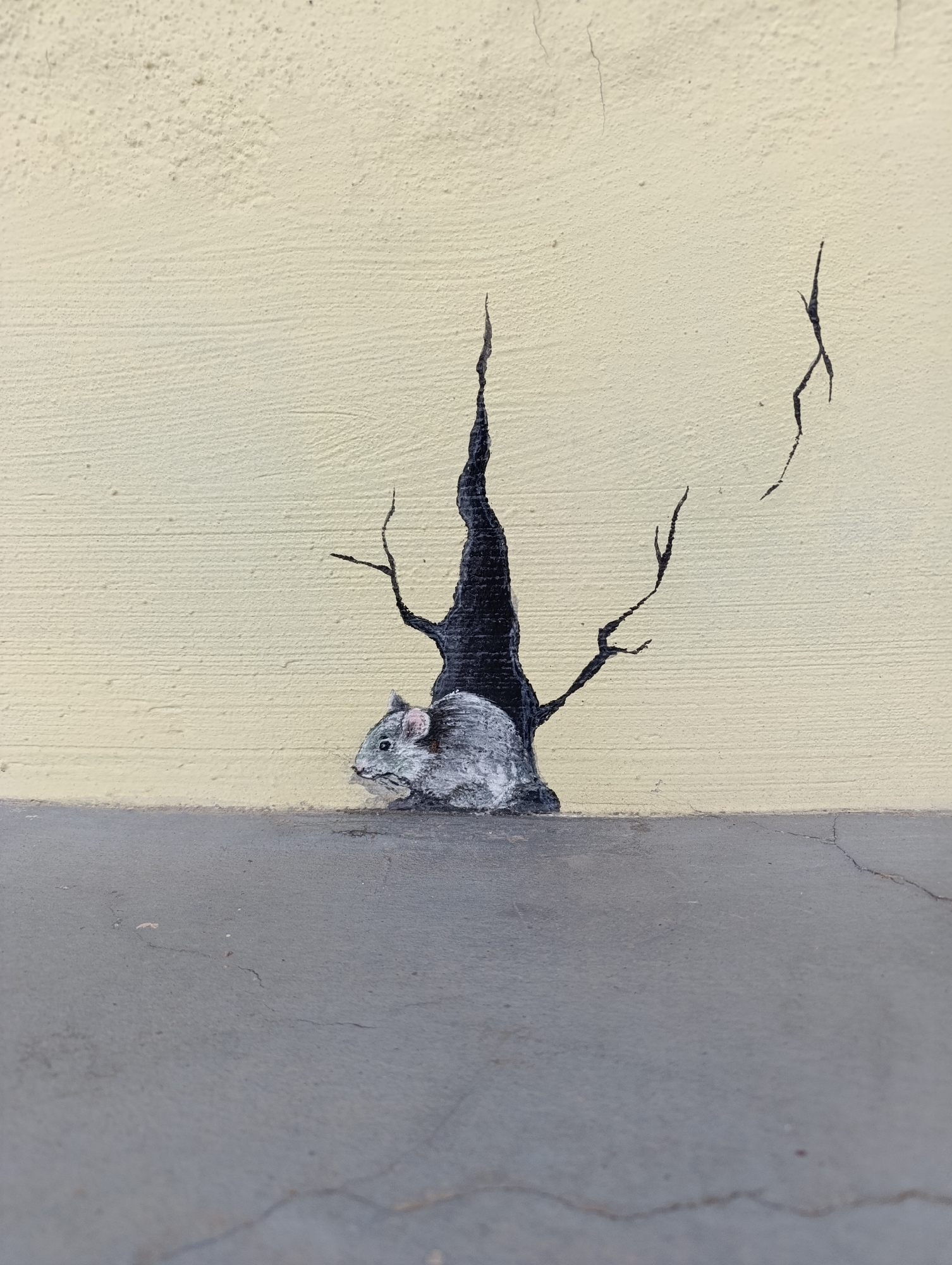 Street art and industrial activity documented in Haskovo
