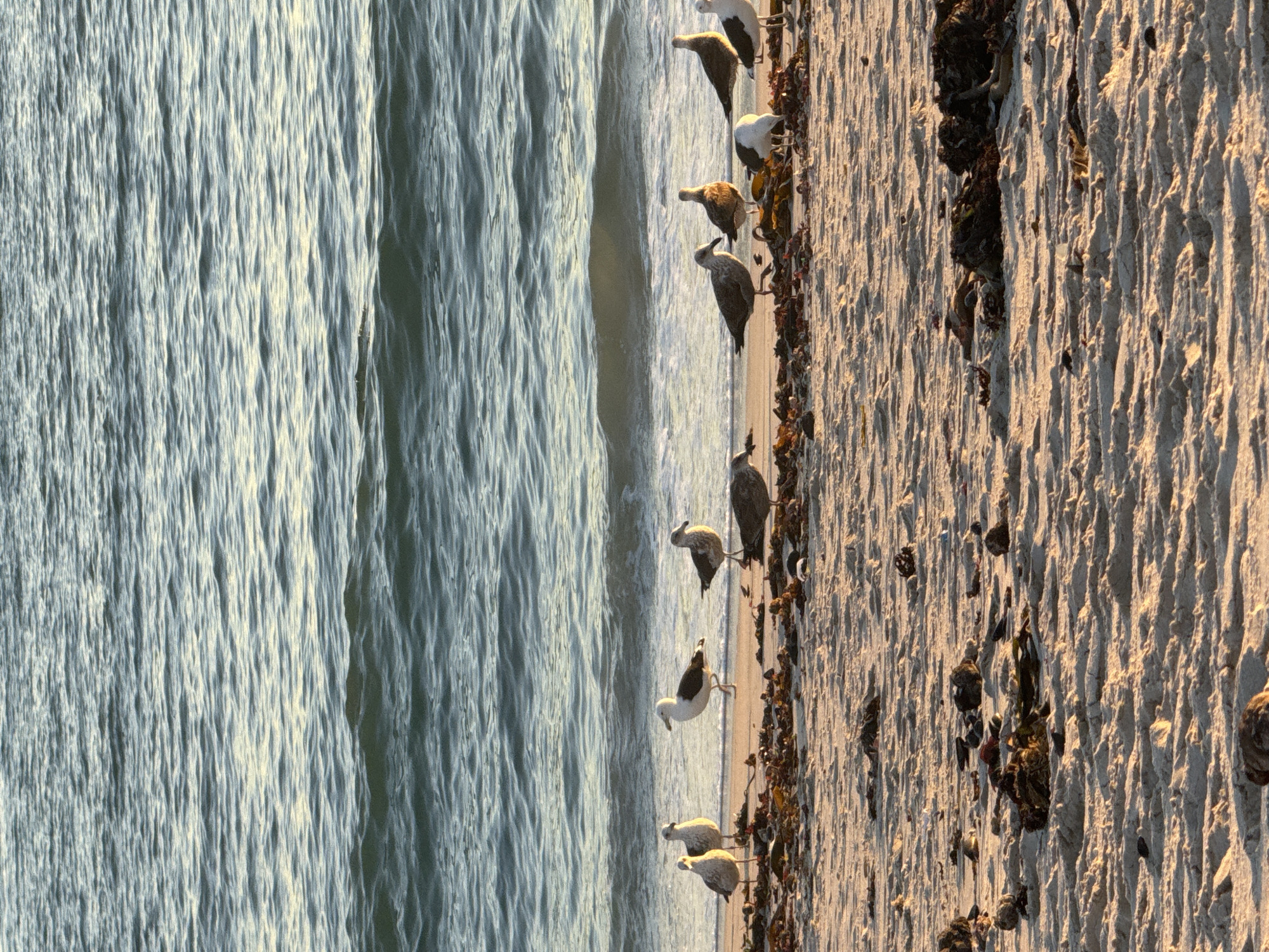 Golden hour beach scenes captured across Cape Town coastline