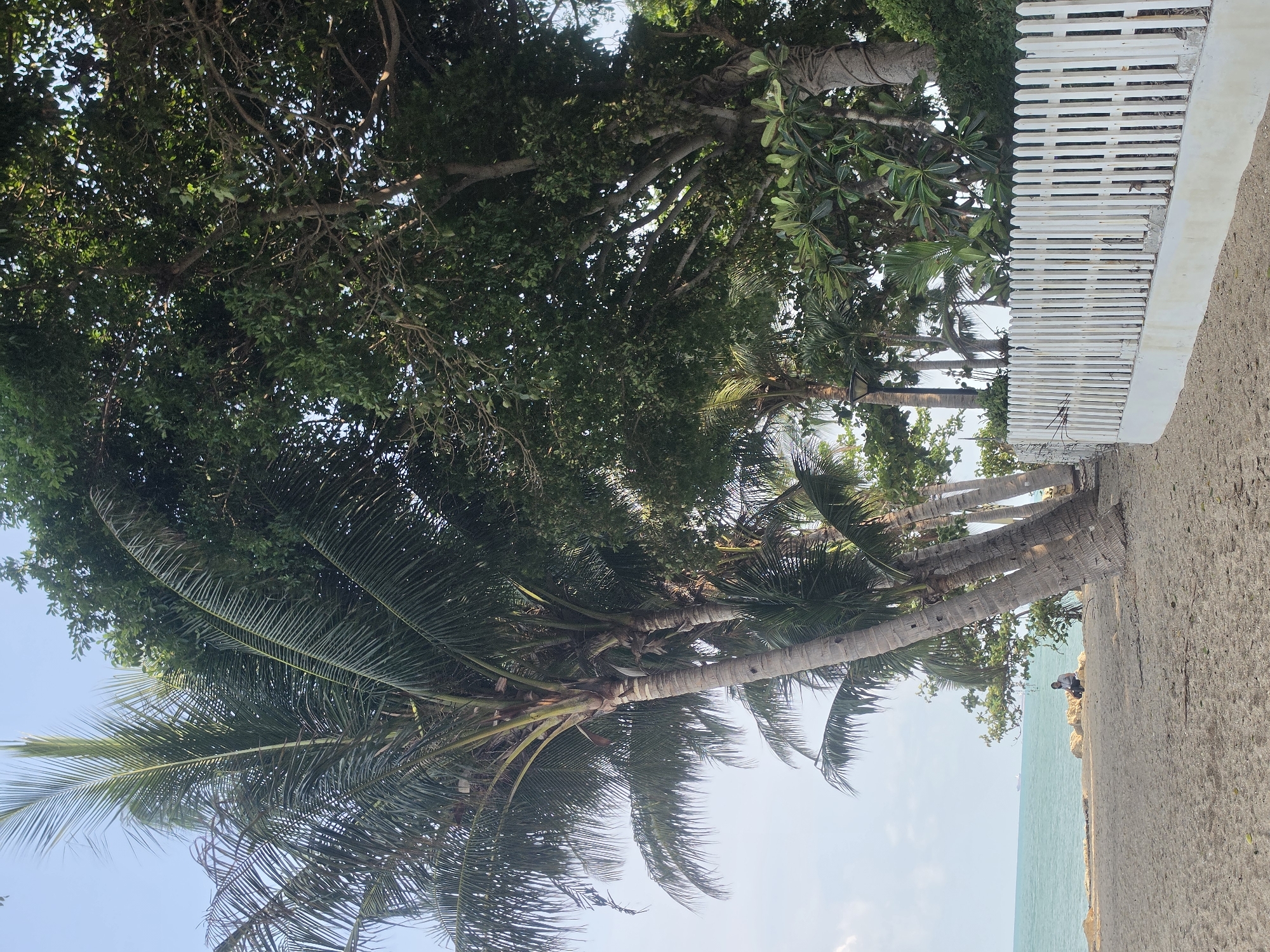 Early Morning Coastal Documentation Tour Through Pattaya City