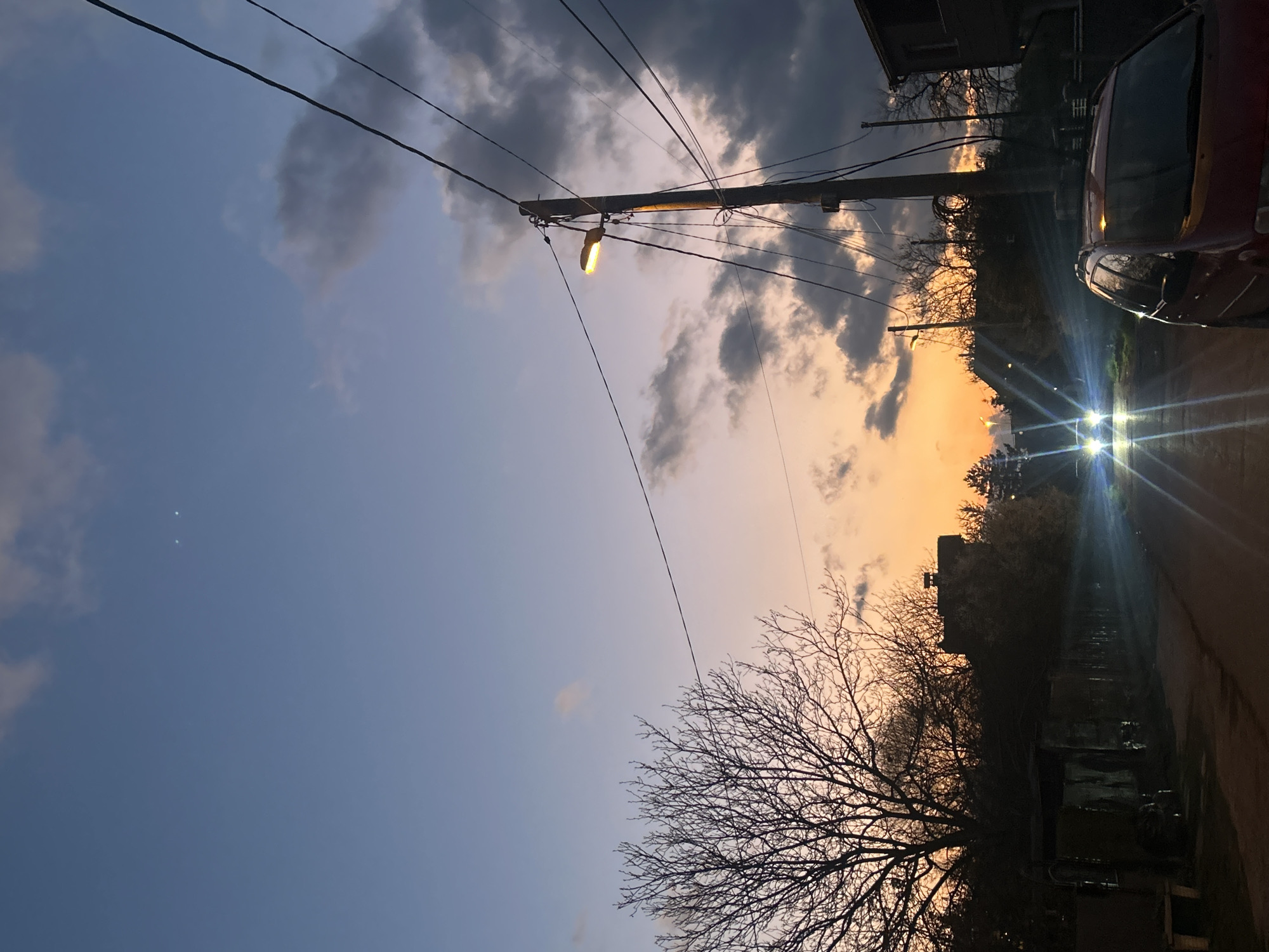Spring afternoon captures: contrails overhead, dog relaxing near blossoms