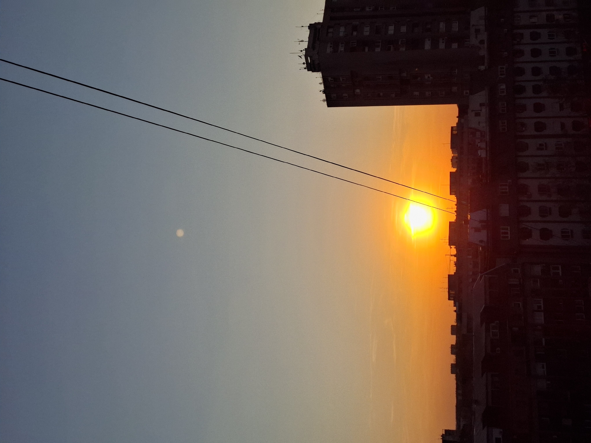 Novi Sad resident captures sunset cityscape, tabby cat moments