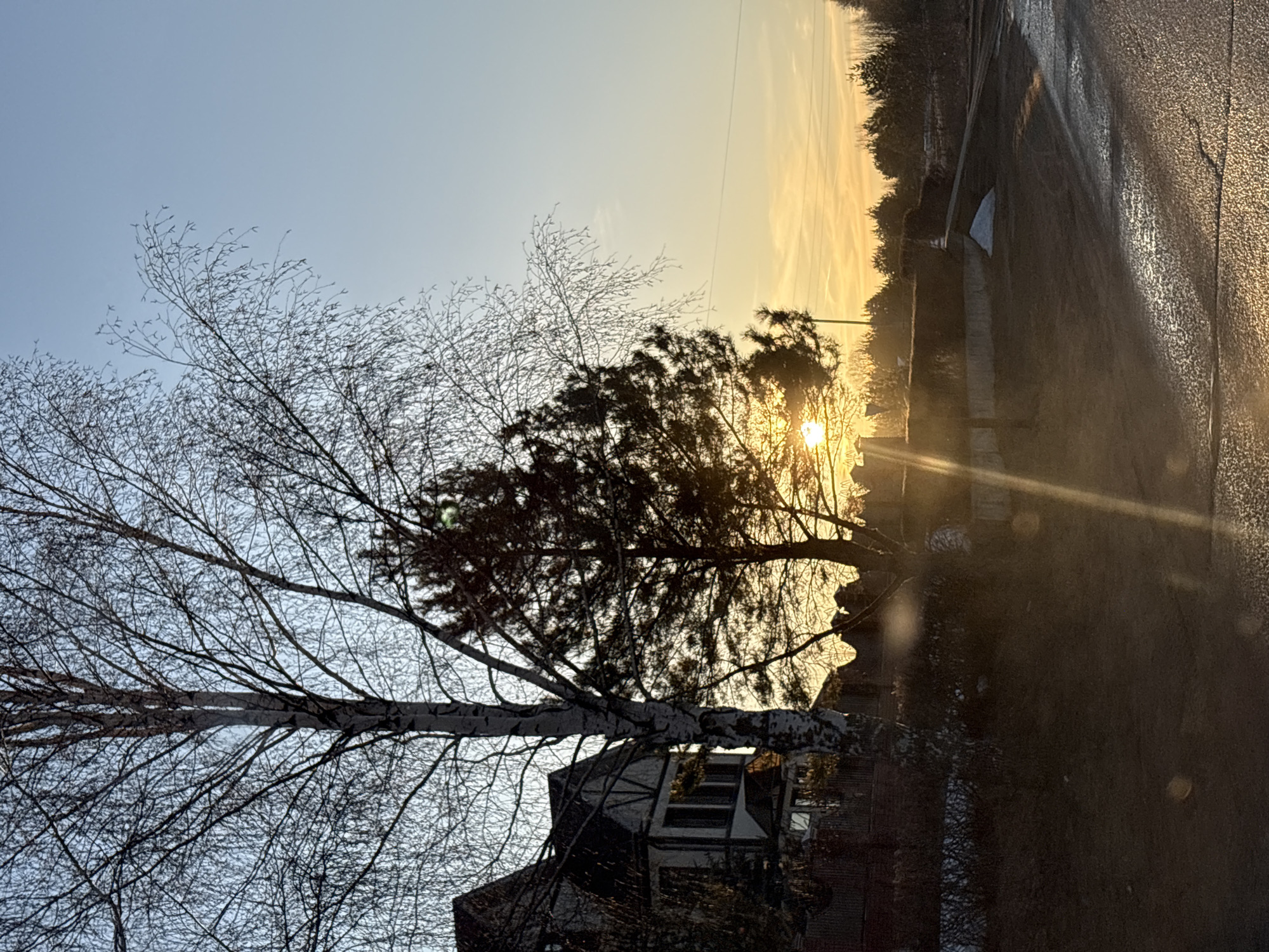 Woman travels through residential Прикамский during sunrise