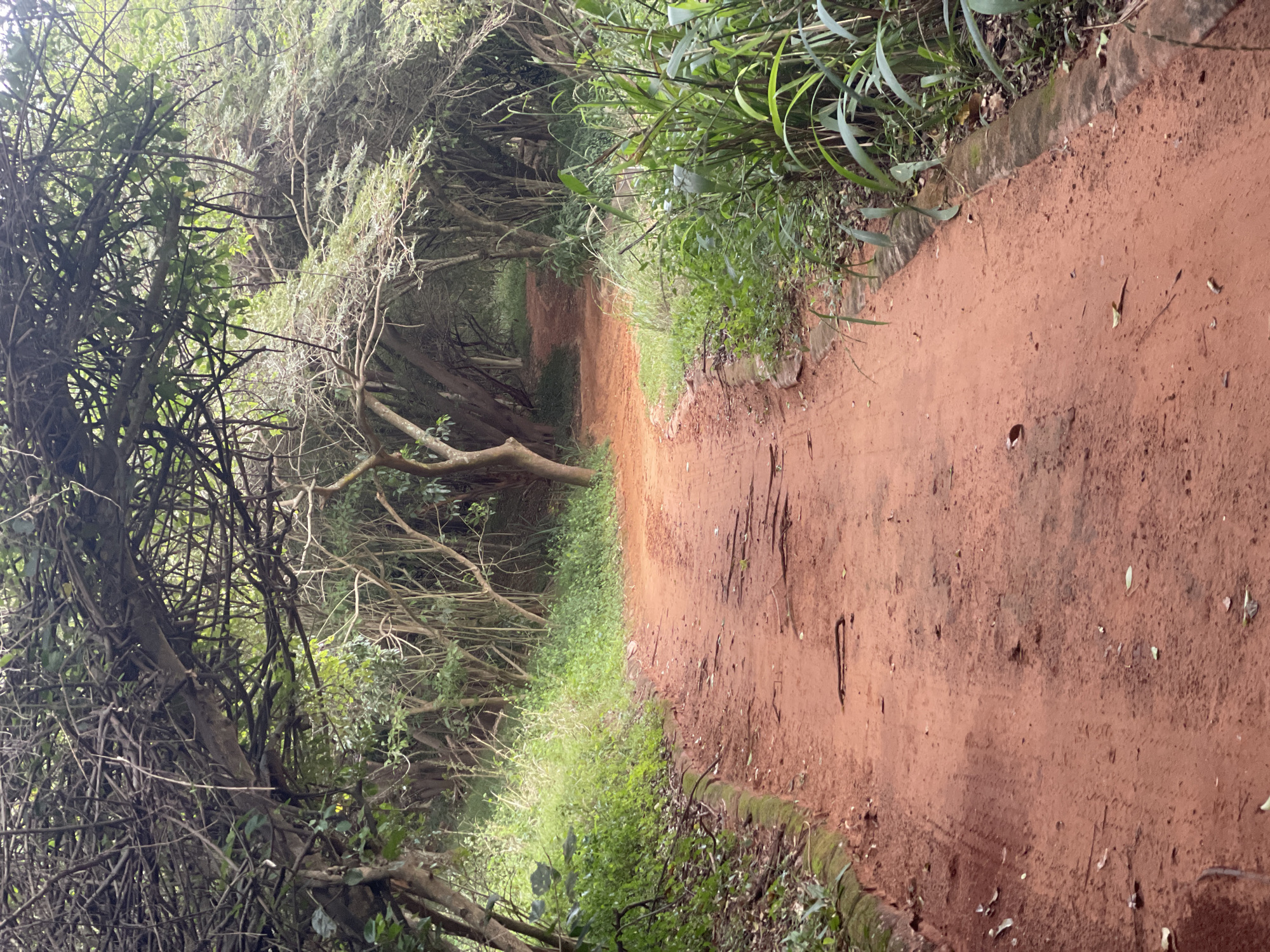Witness documents nature paths and rural landscapes in Umhlanga