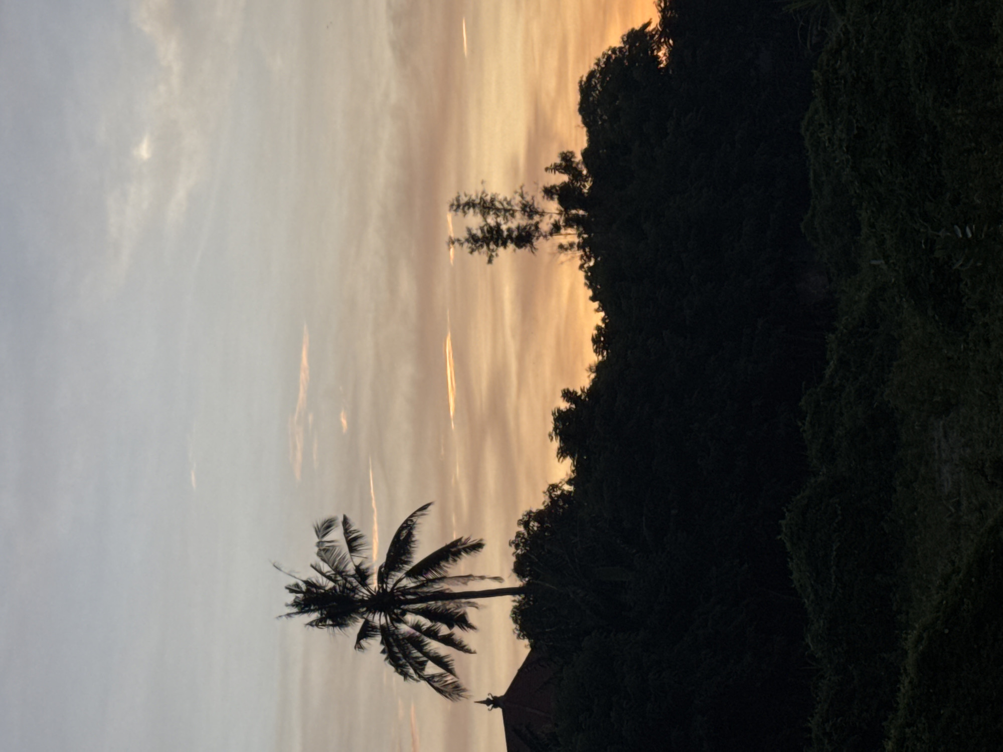 Evening scenes from Kuta: pools, wildlife, and local life