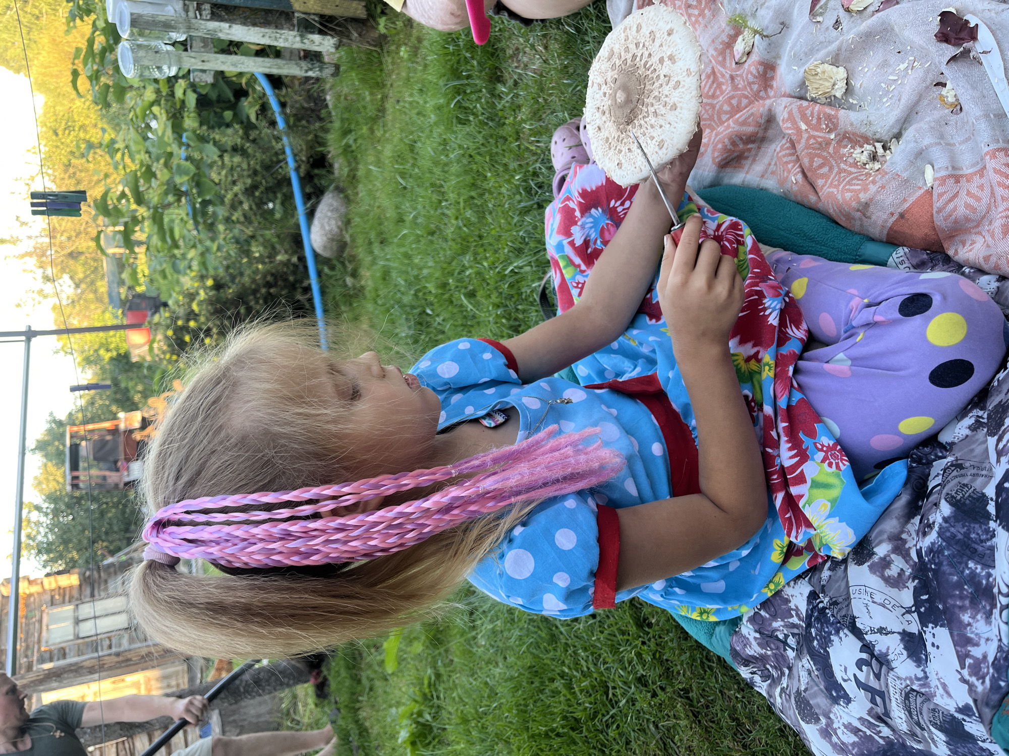 Summer afternoon on a Belarusian homestead: mushrooms, chicks, and chickens