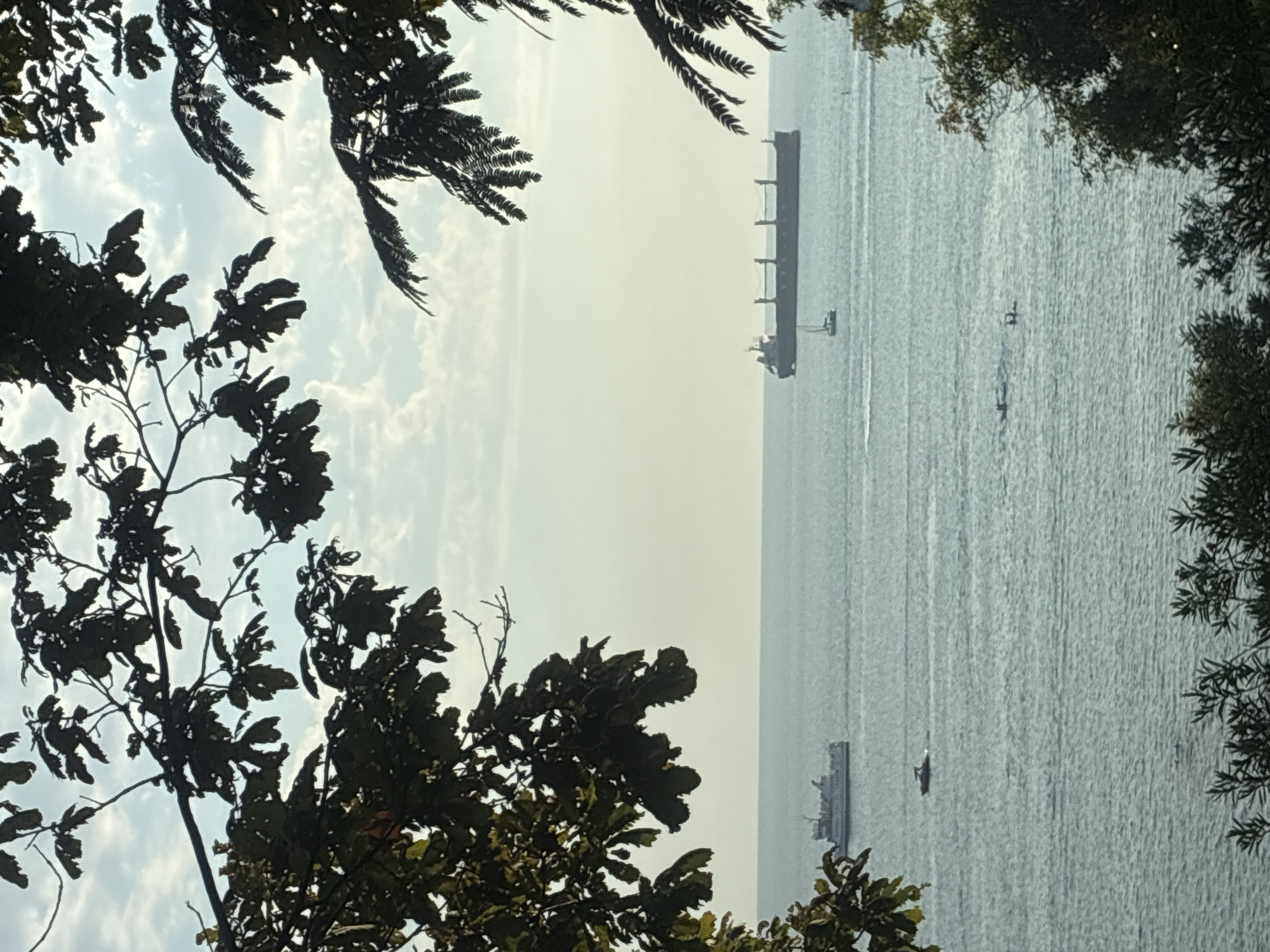 Afternoon on Sochi's Black Sea promenade and waterfront parks