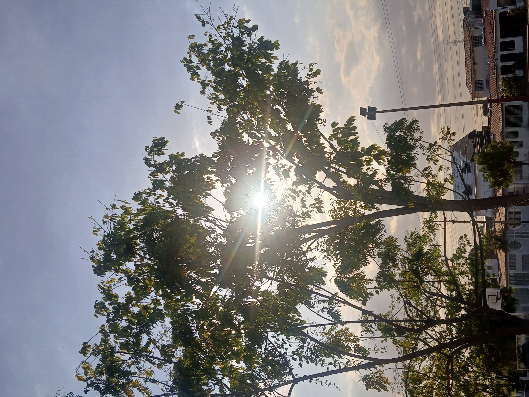 Sunlit urban scene captured in Ciudad Guayana, Venezuela