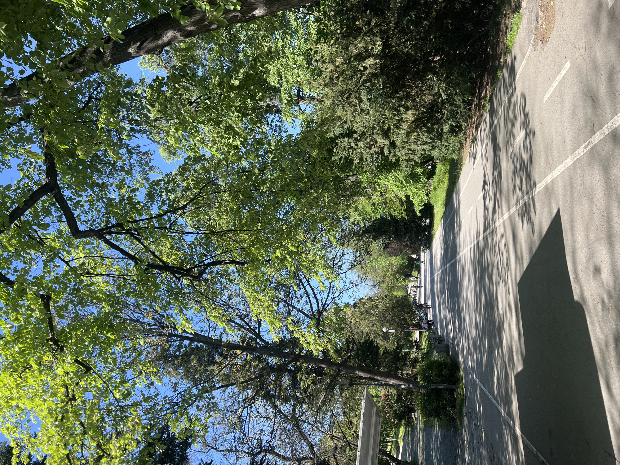 Witness documents peaceful park scenes in Plovdiv, Bulgaria