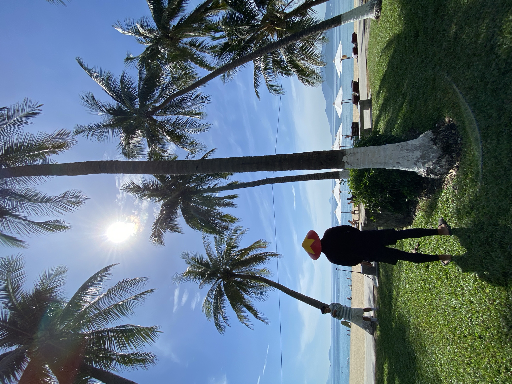 Nha Trang beachfront on a bright midday, palm trees and all.