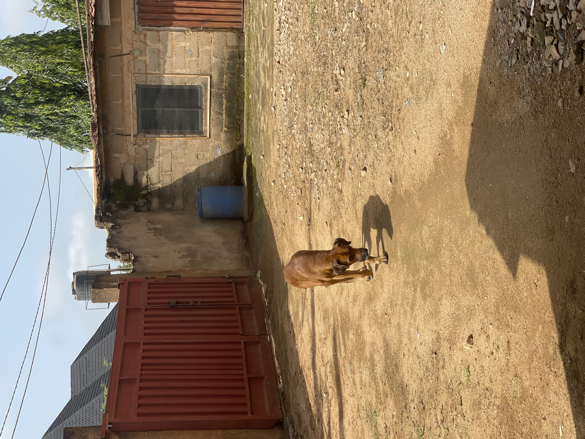Everyday life around a Kakau, Nigeria home compound