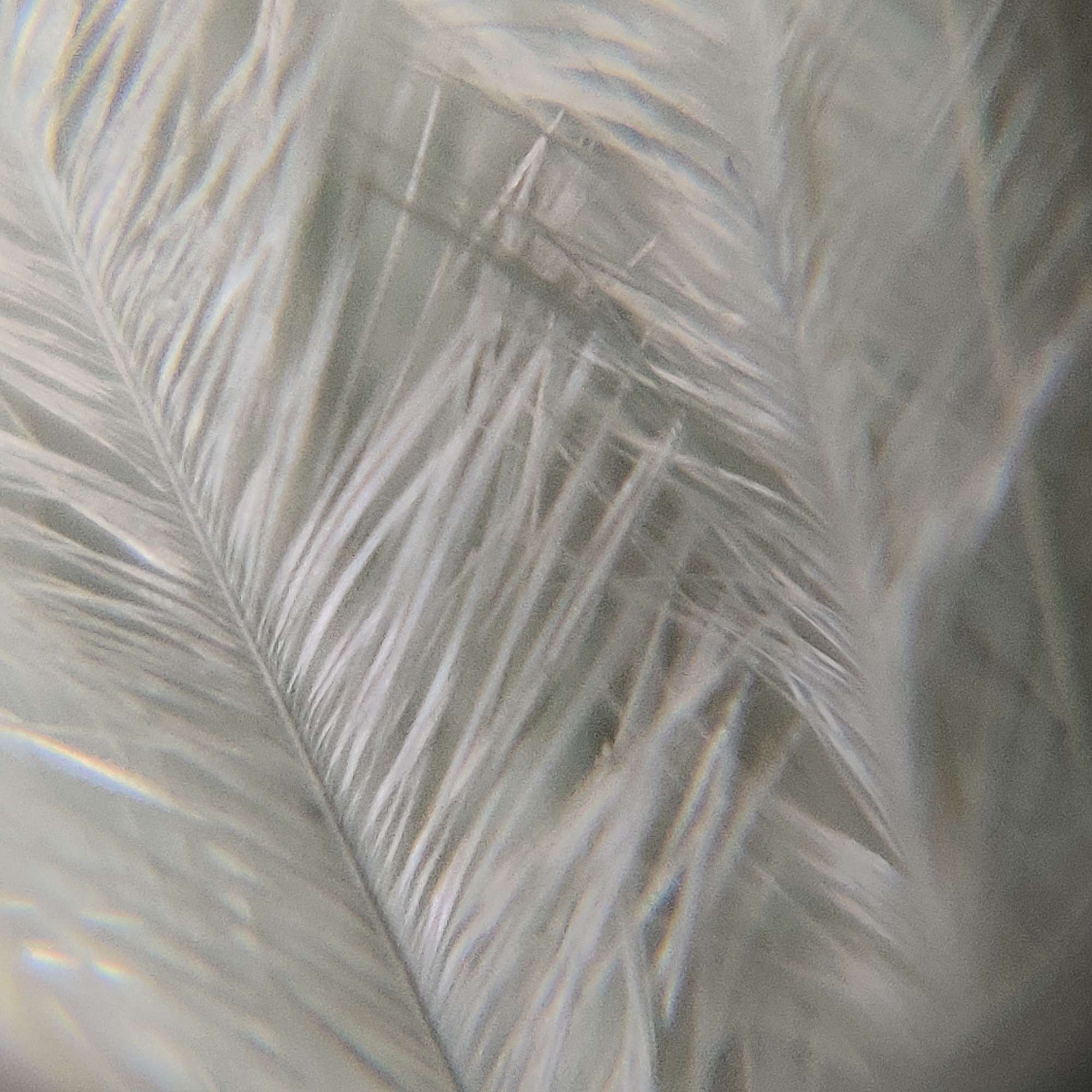 Macro textures and motivational slides from Yekaterinburg