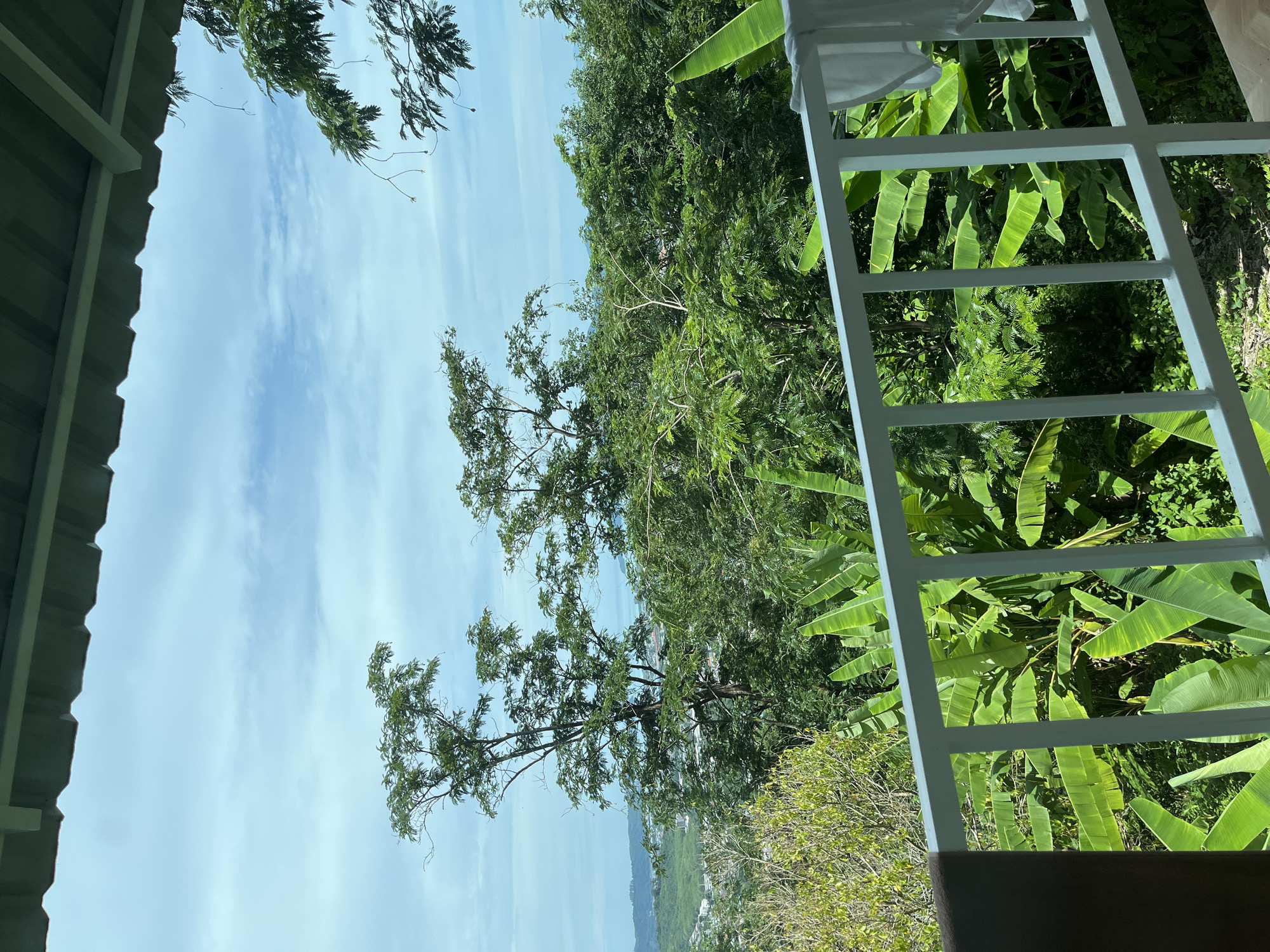 Morning routine documented from Chalong balcony overlooking tropical landscape