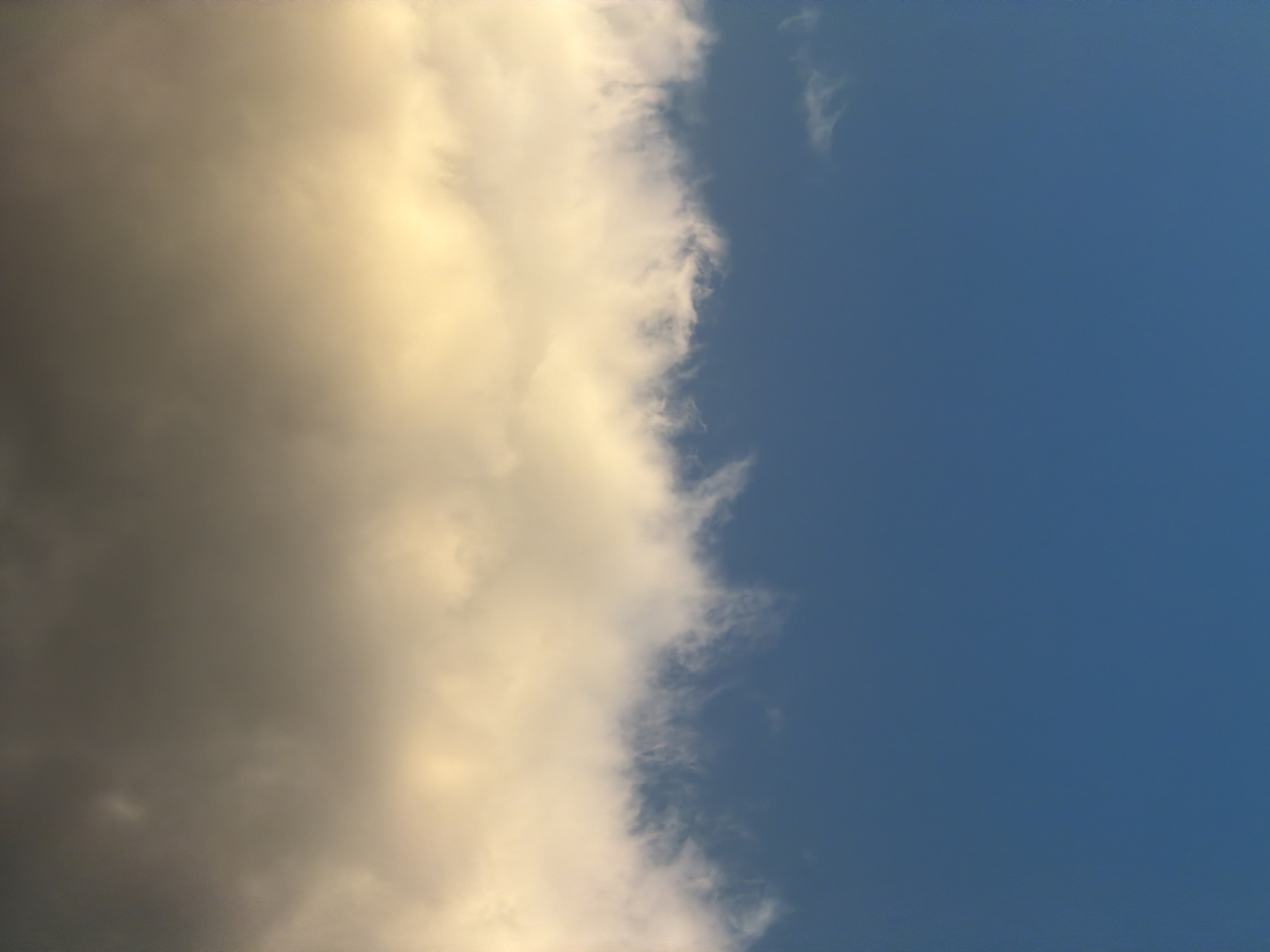 Quiet afternoon moments captured in Sofia: clouds and reading