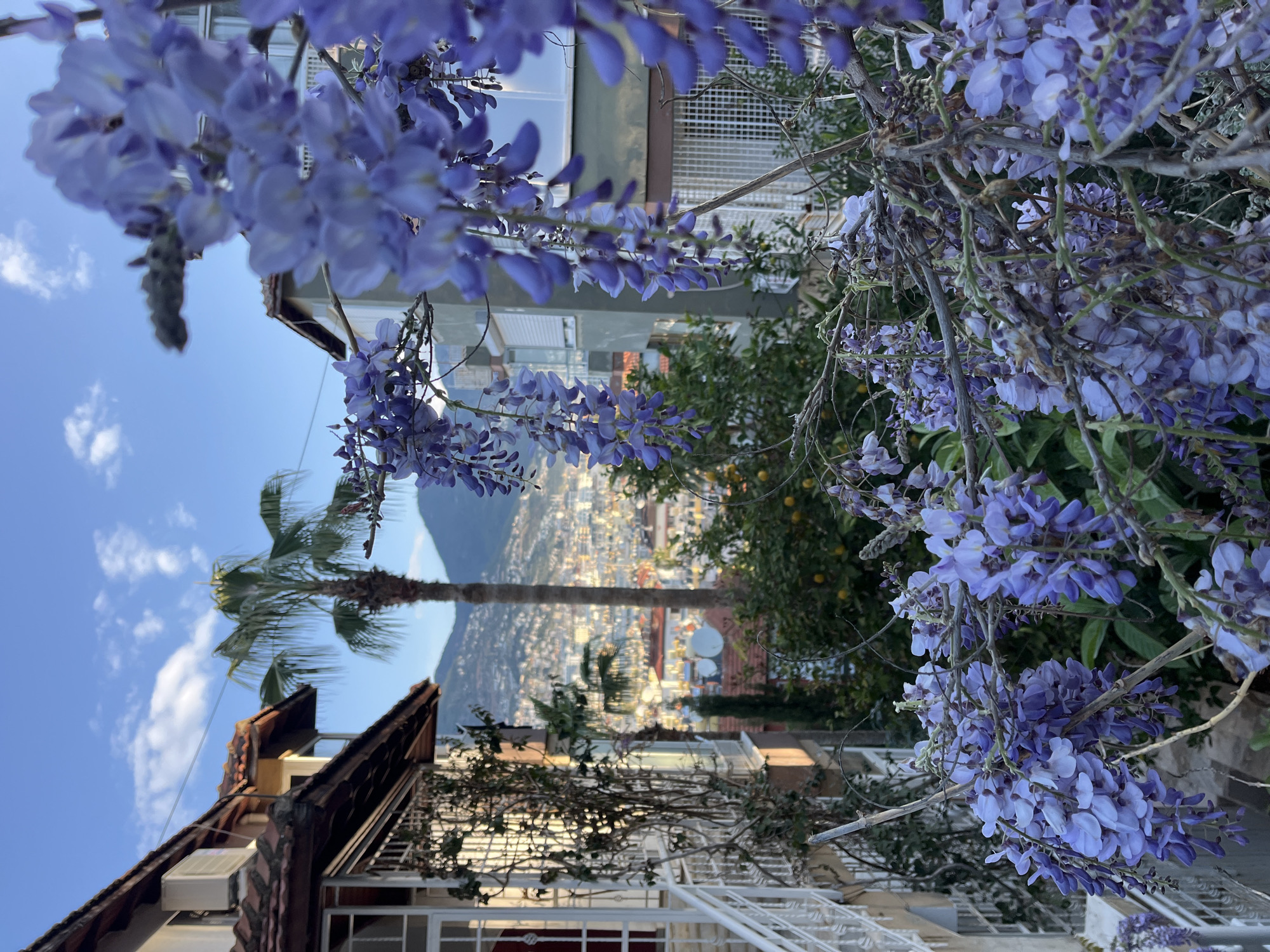 Morning Views Captured Across Alanya's Scenic Landscape and Landmarks