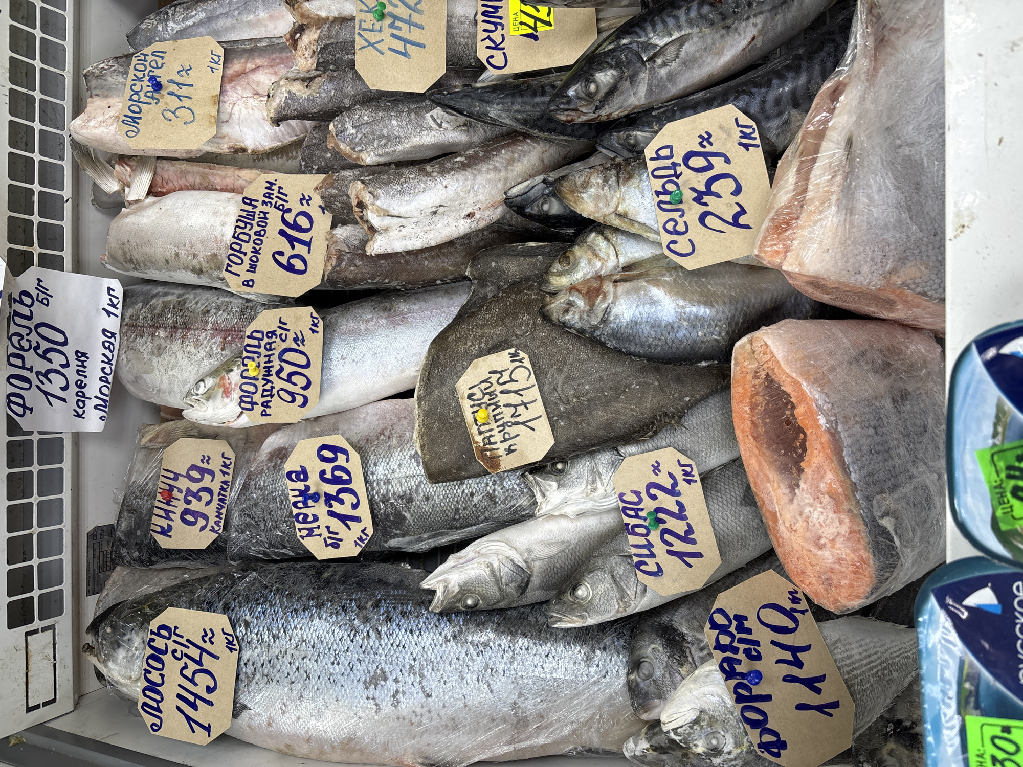 Street market scene with seafood vendors, mannequins in Izhevsk