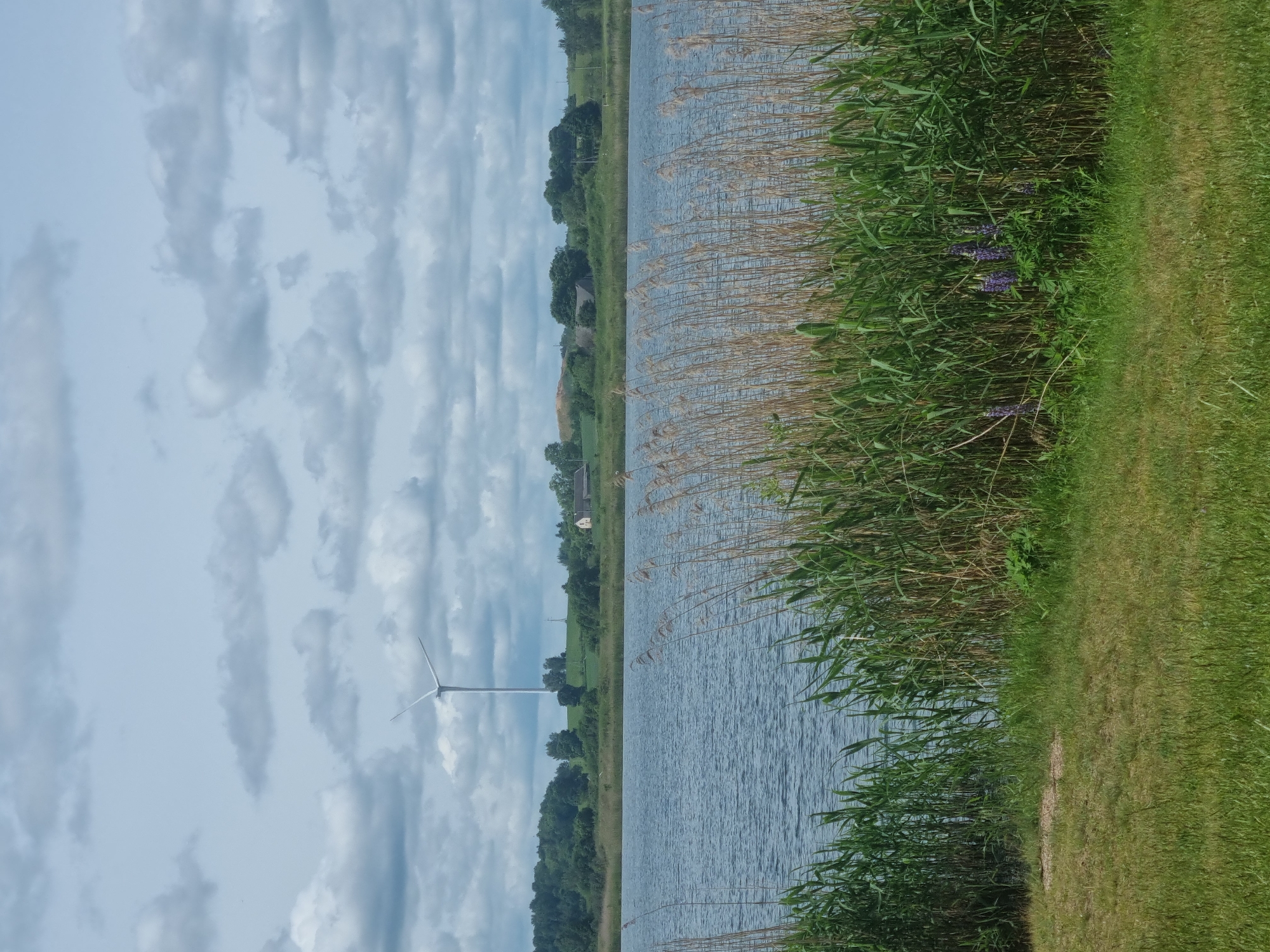 Peaceful lakeside camping area documented in rural Lithuania
