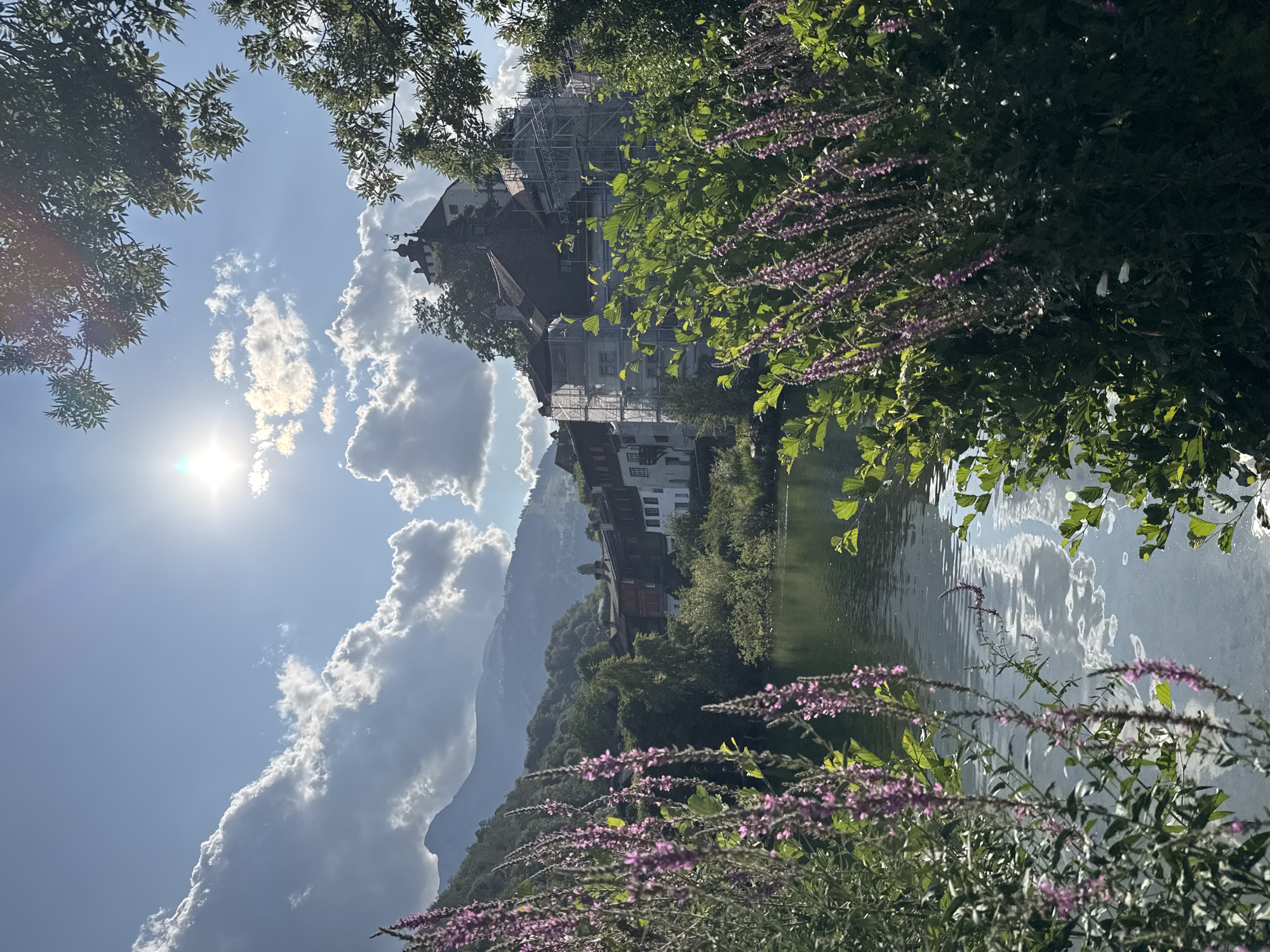 Waterfront calm and village architecture along the Swiss Rhine Valley