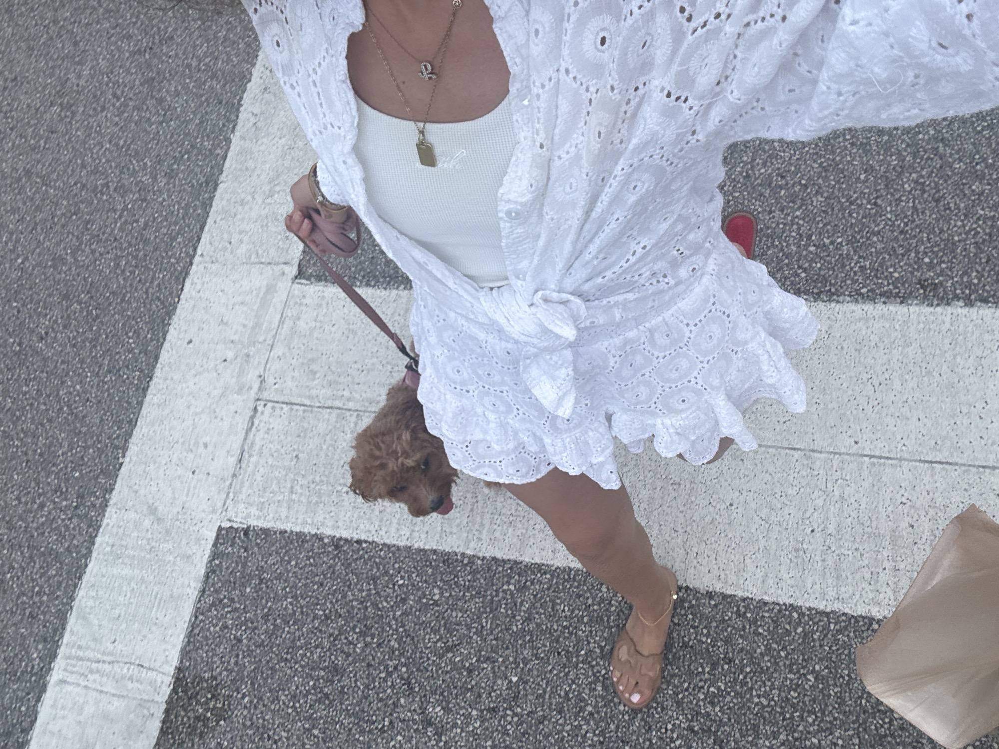 Woman walks poodle mix in evening Boca Raton crosswalk