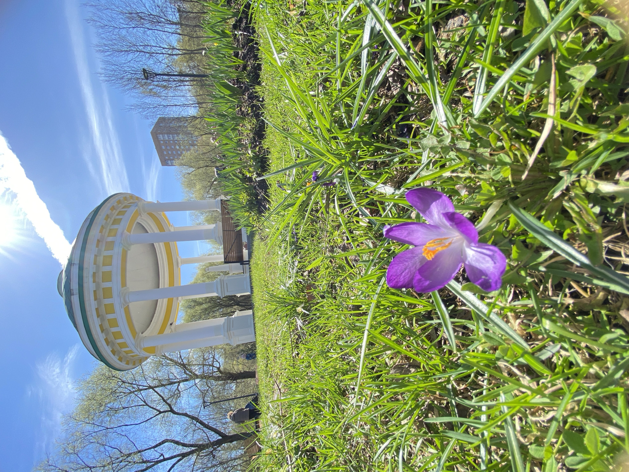 Spring morning scenes captured in Moscow park