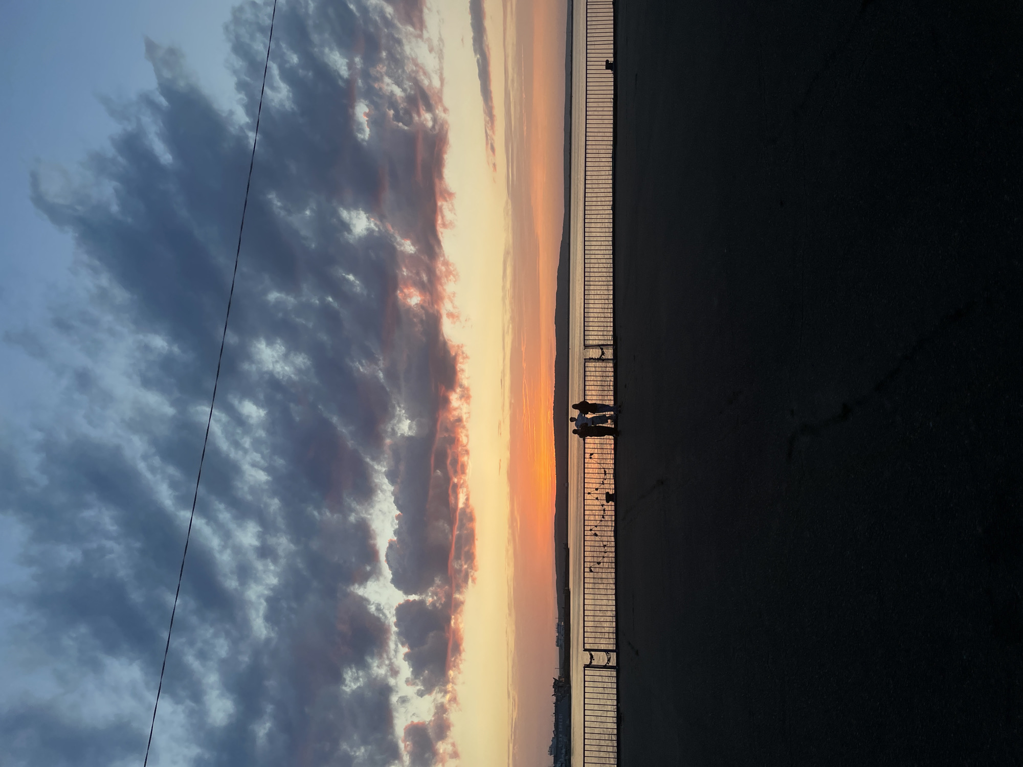 Urban sunset scenes and caged rabbit observed during evening