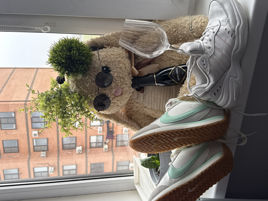 Urban apartment dweller documents sneaker planters and plush bunny displays