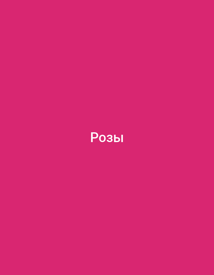 Flashcard-style text graphics covering music, boxing, flowers, and more