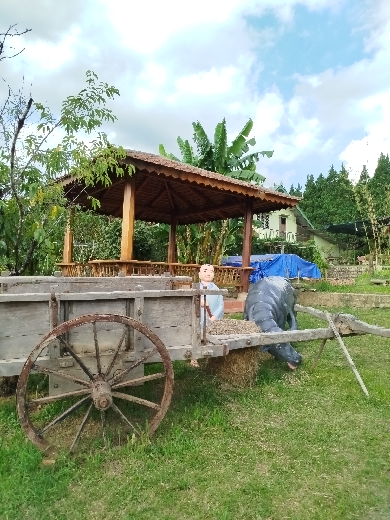 Morning scenes captured across Da Lat's temples and streets