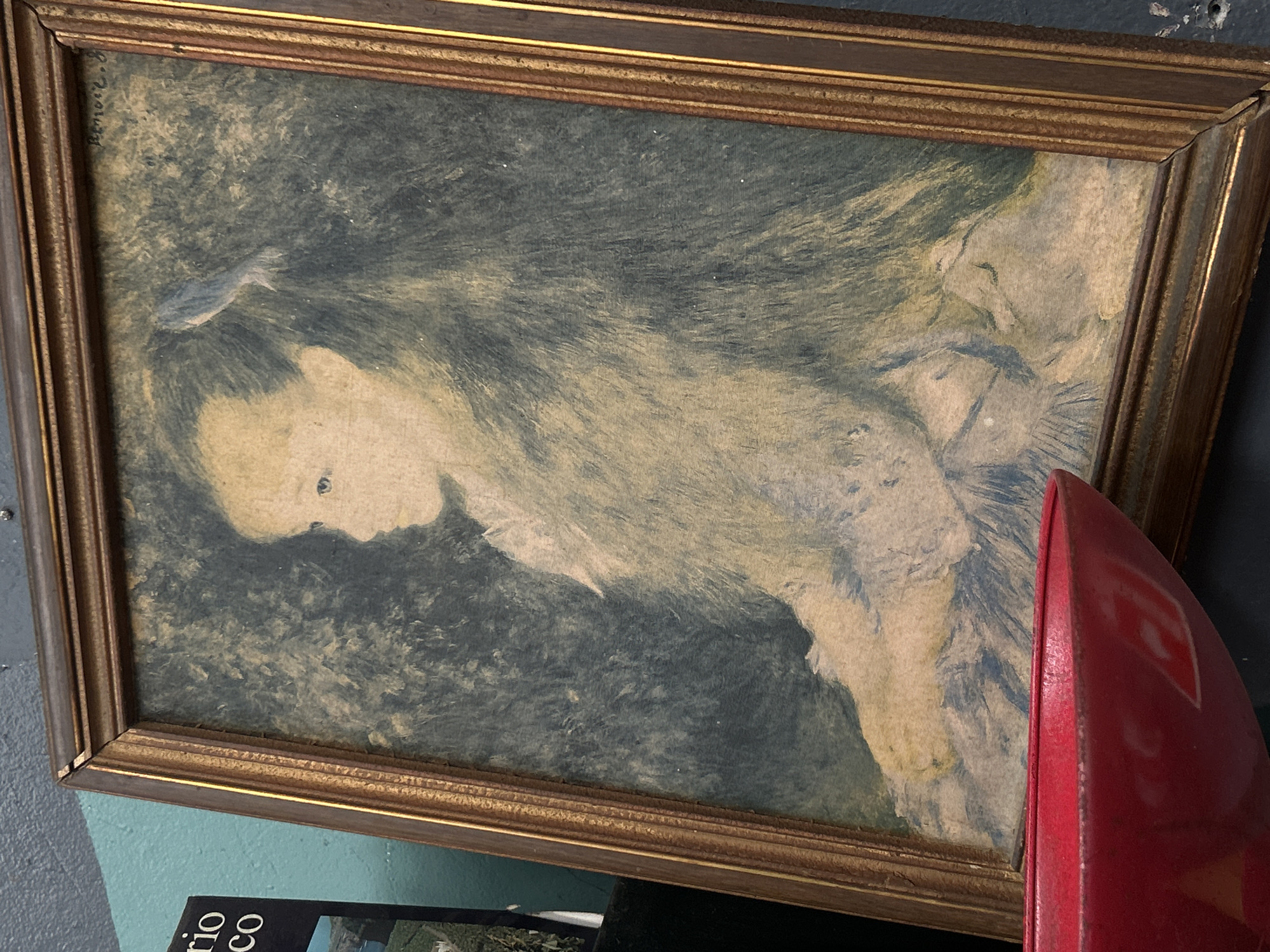 Antique shop items documented in Veracruz City