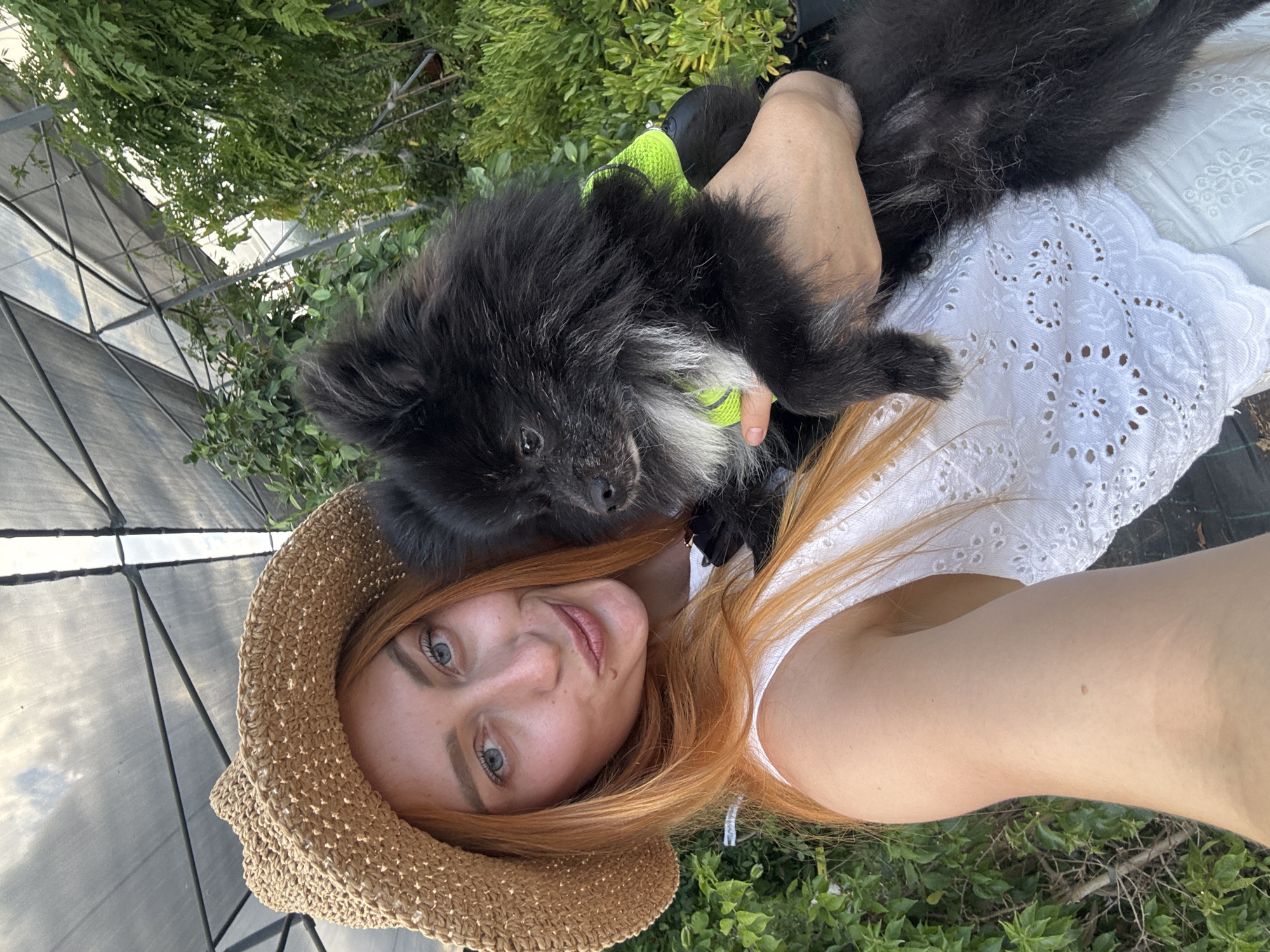 Afternoon nursery run in Radanovići with dogs in tow