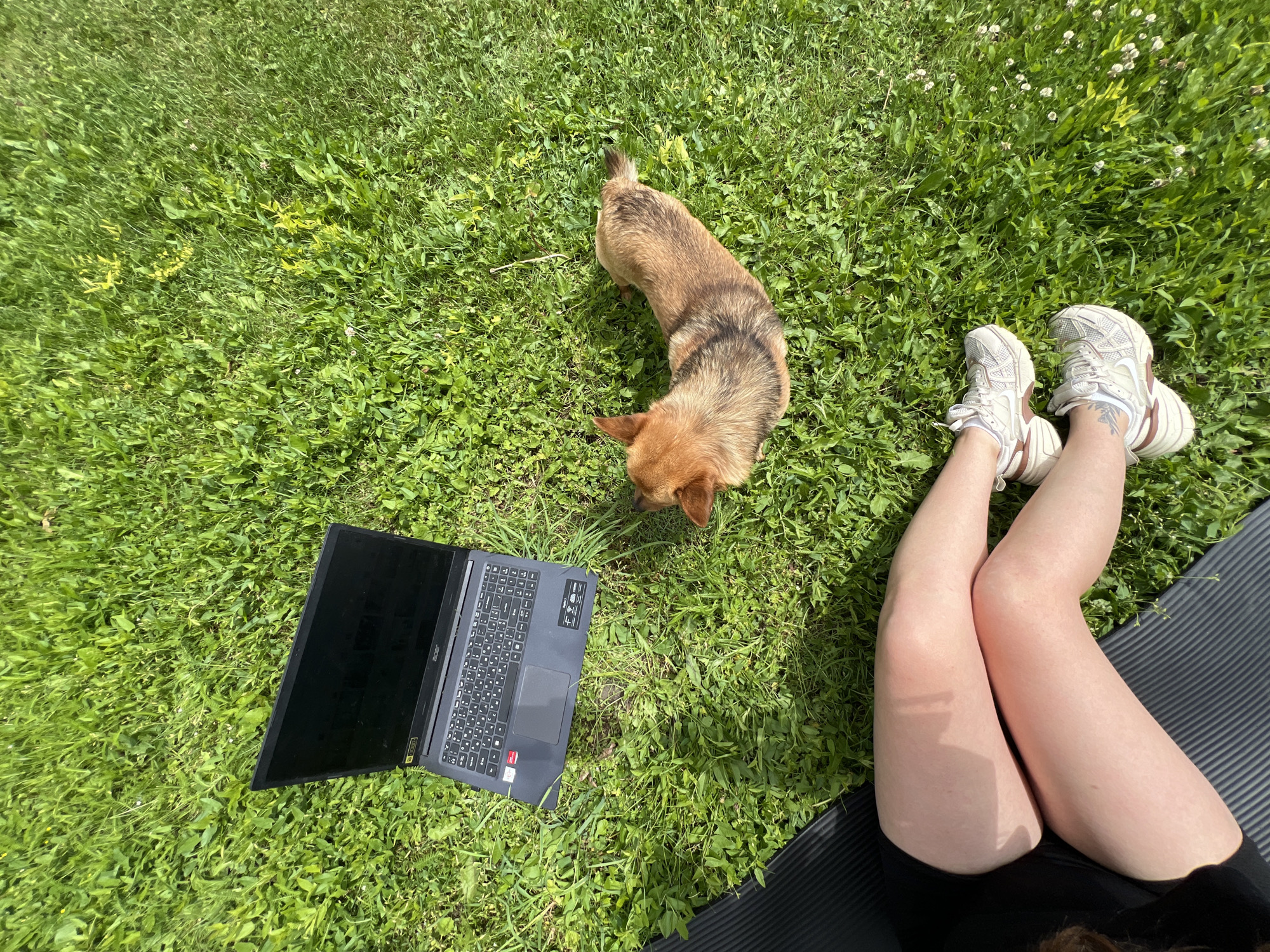 Backyard yoga session with butterfly visitor in Ilavche