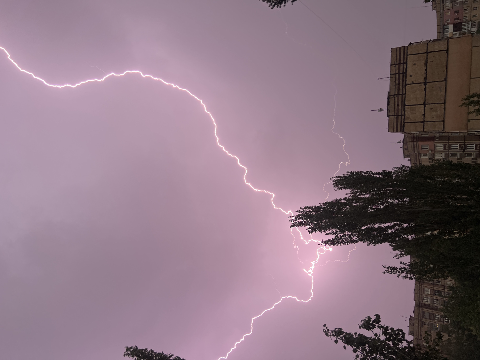 Lightning storm flashes over city apartments and tree silhouettes